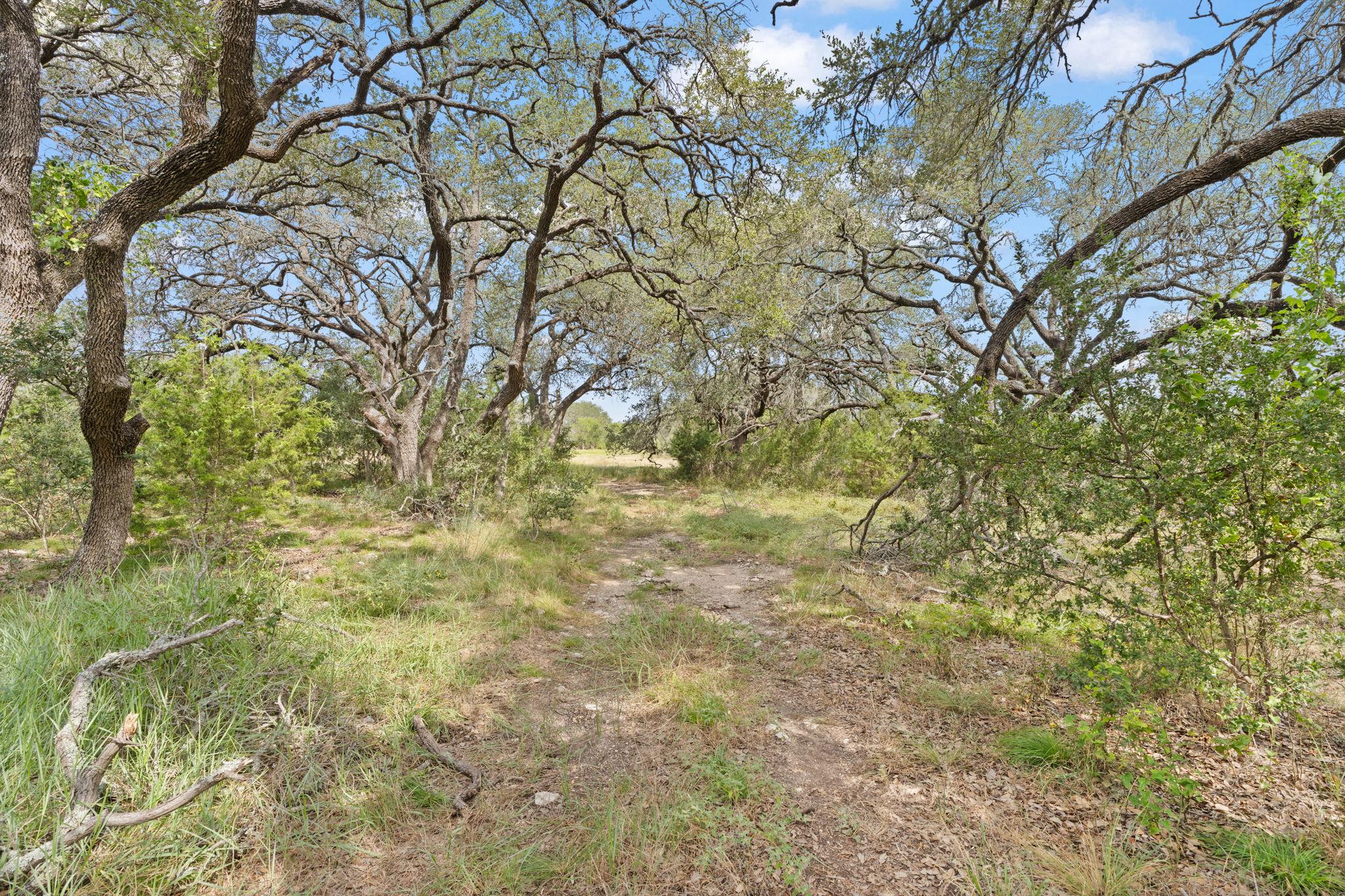 1019 Fm 3509, Burnet, TX 78611
