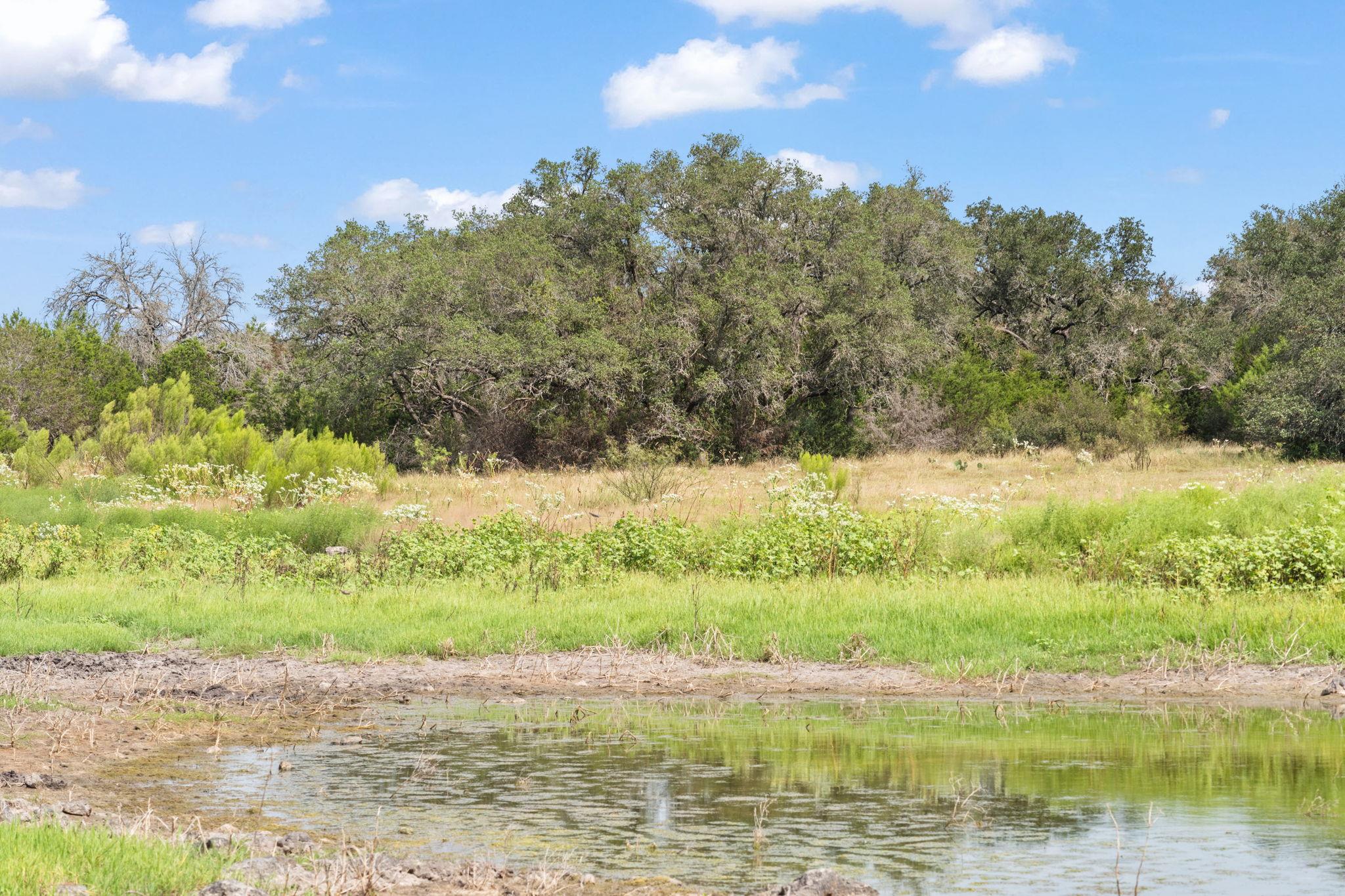 1019 Fm 3509, Burnet, TX 78611