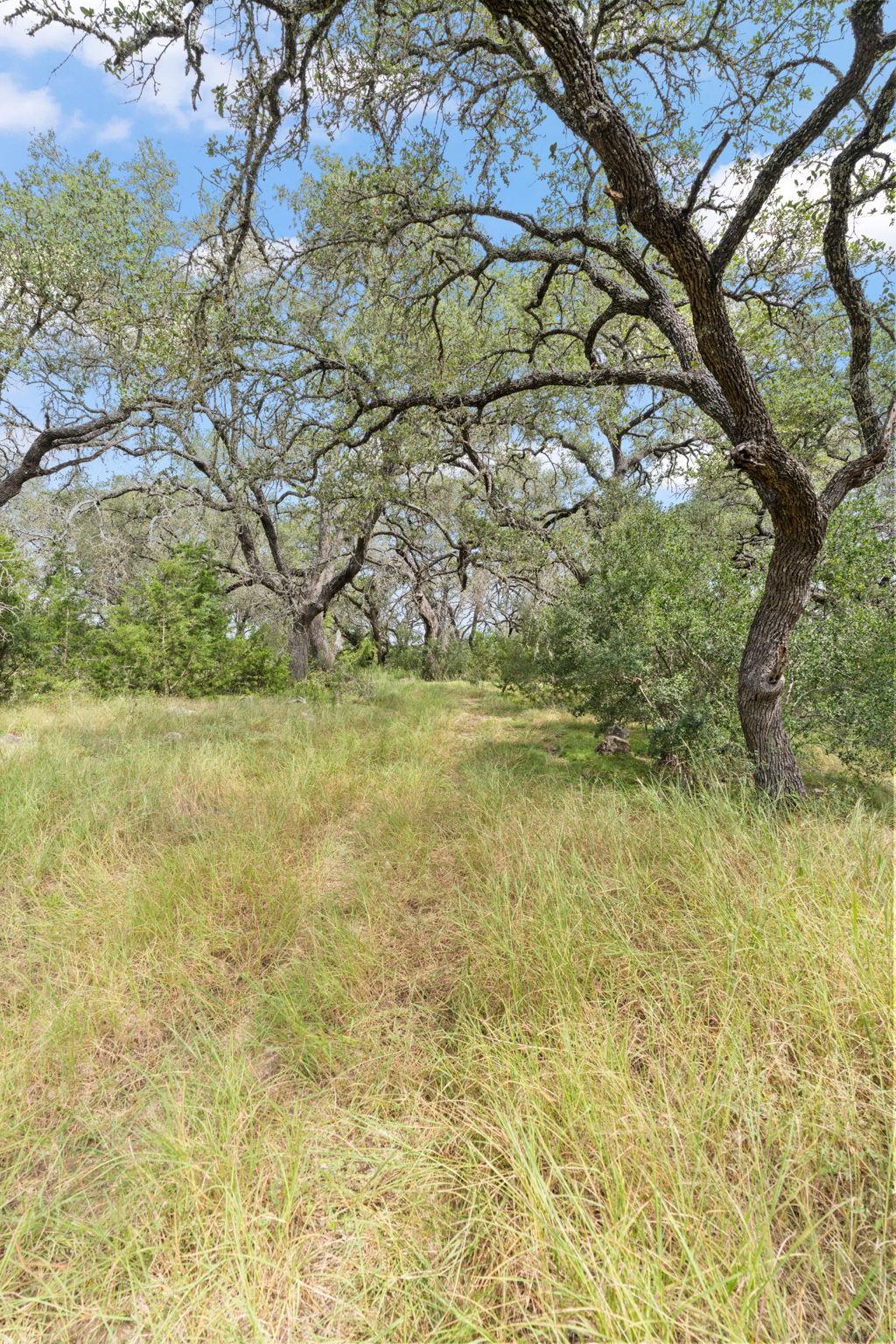 1019 Fm 3509, Burnet, TX 78611