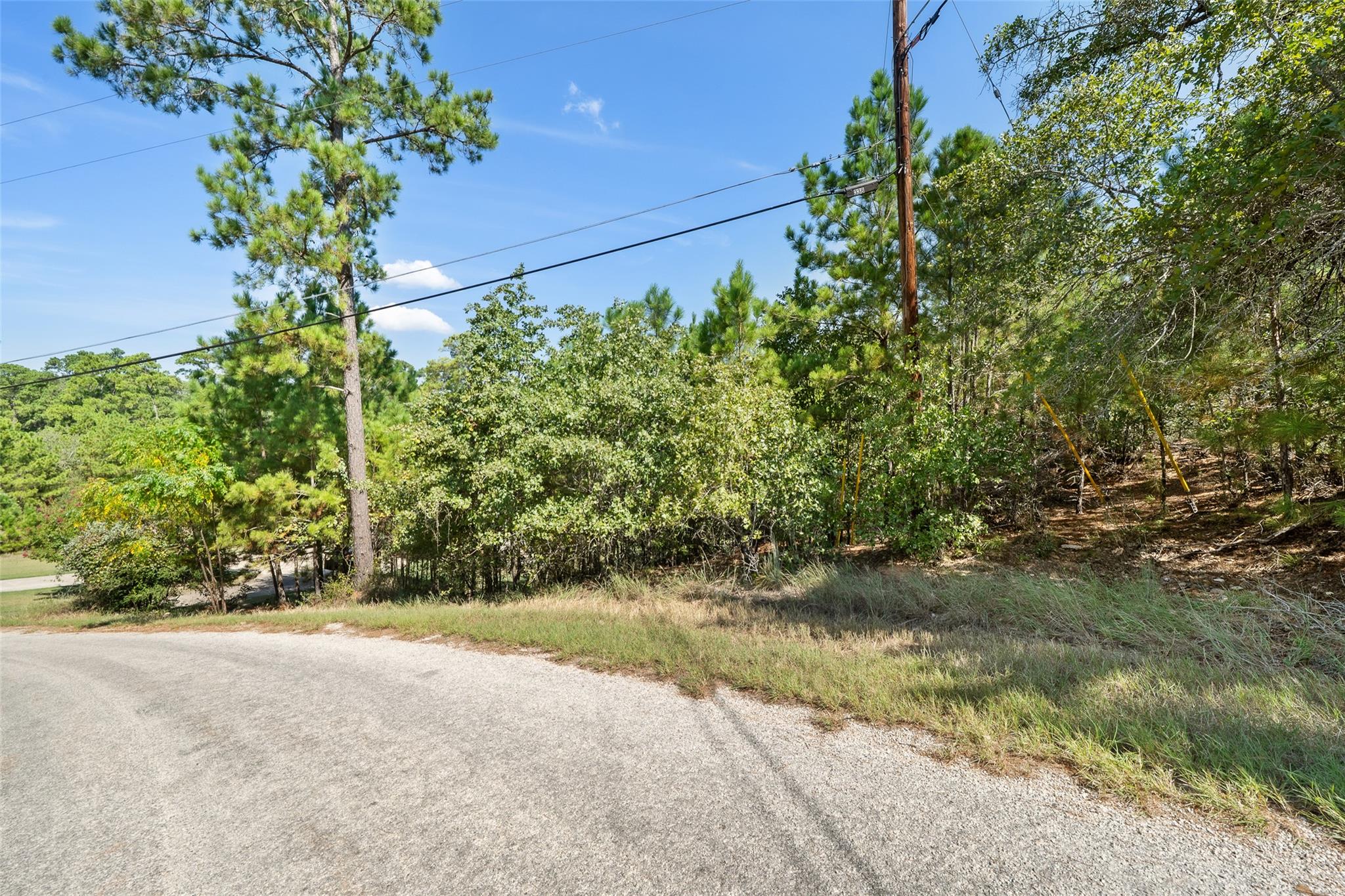 TBD Mamalu Dr, Bastrop, TX 78602