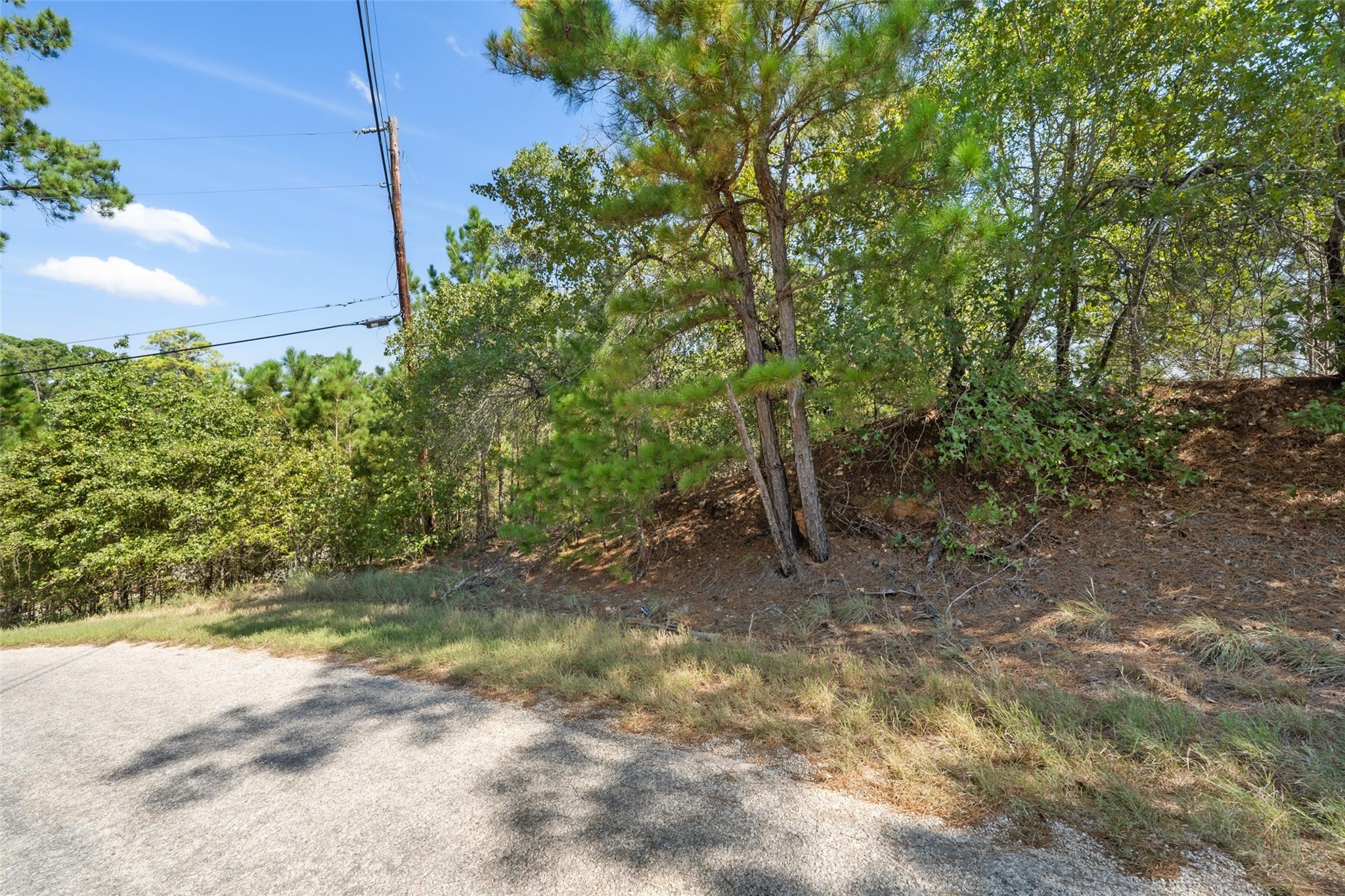 TBD Mamalu Dr, Bastrop, TX 78602