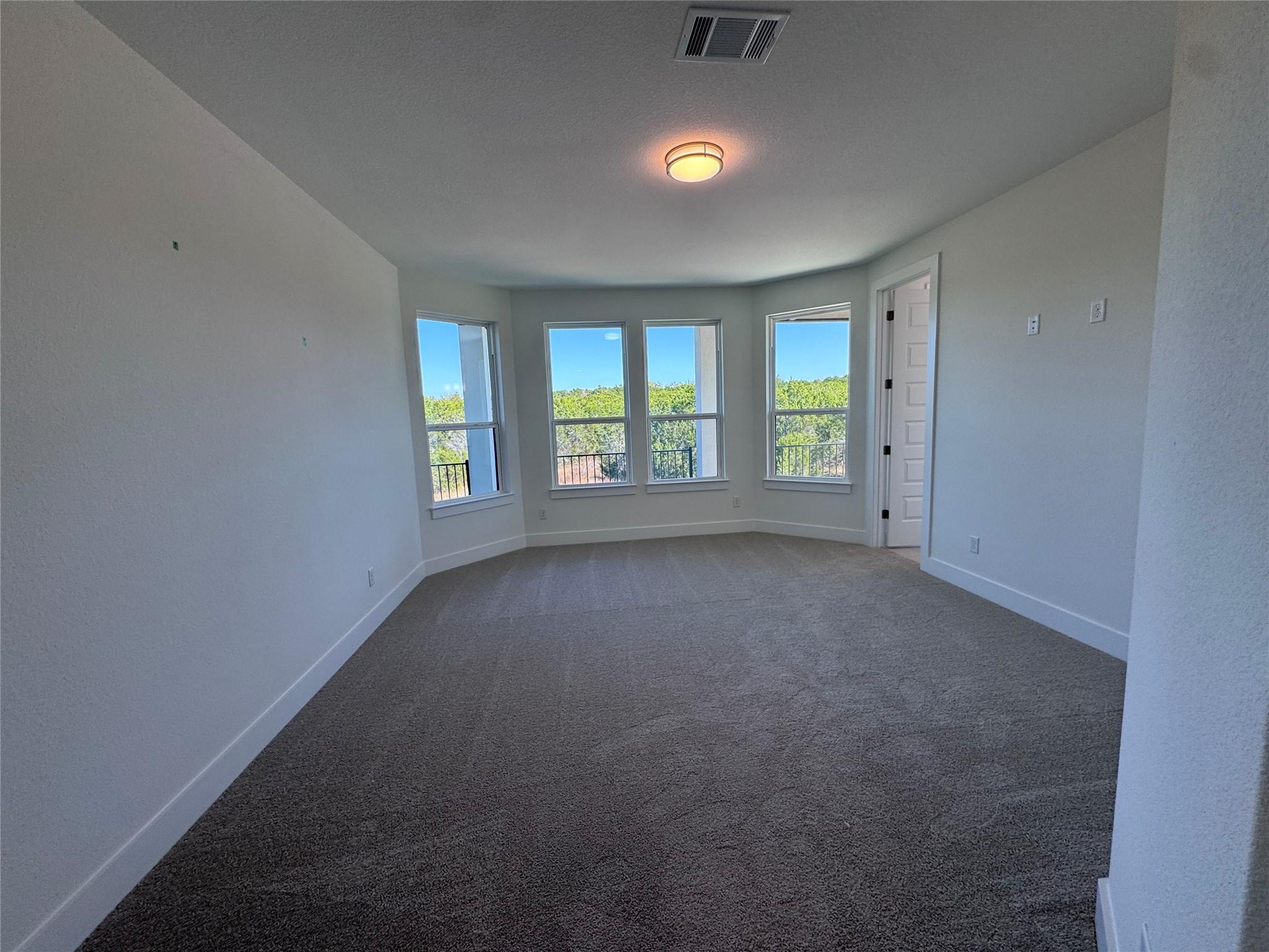 520 Wonderstruck, Liberty Hill, TX 78642