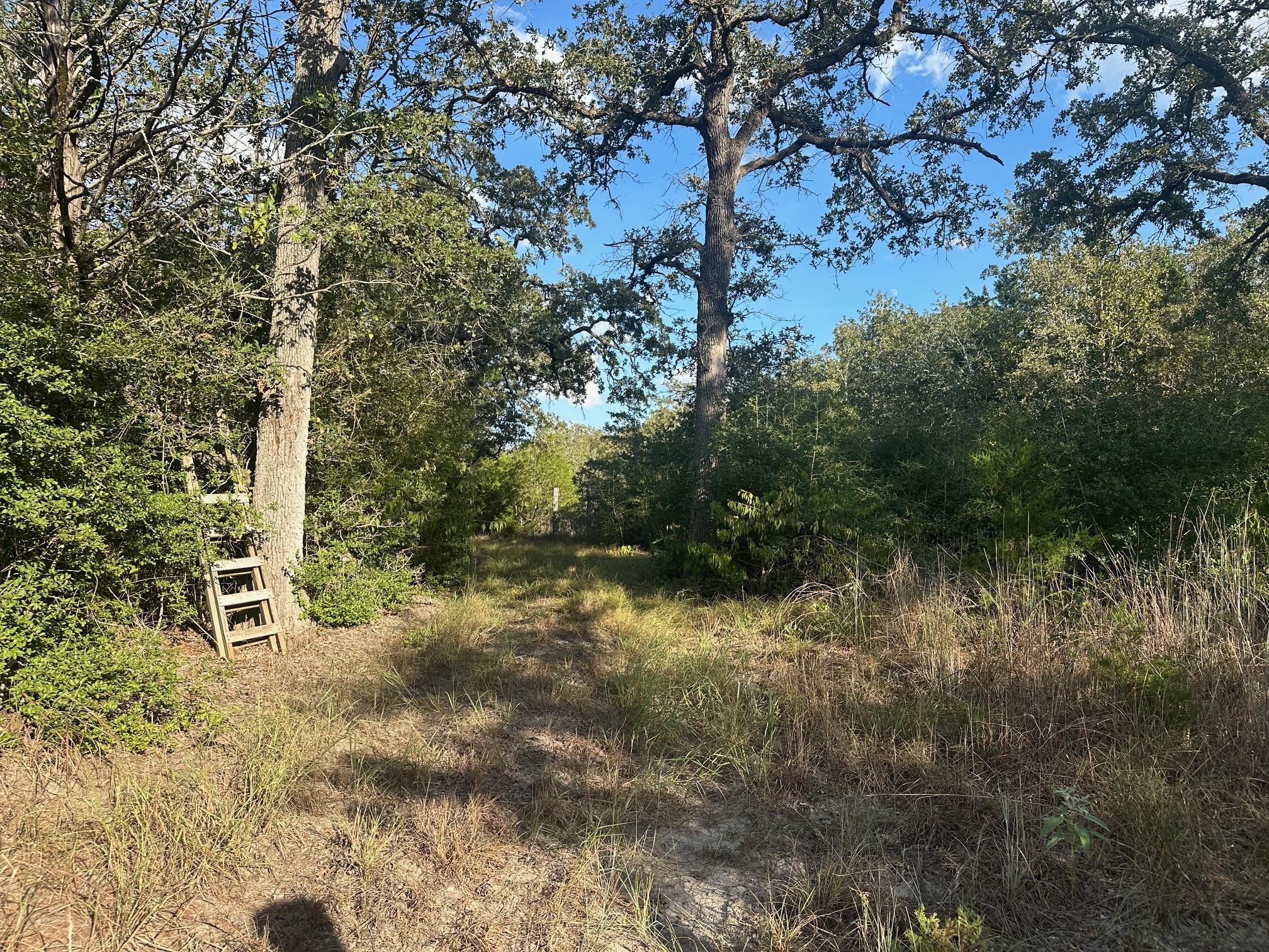 000 Rook Rd, West Point, TX 78963