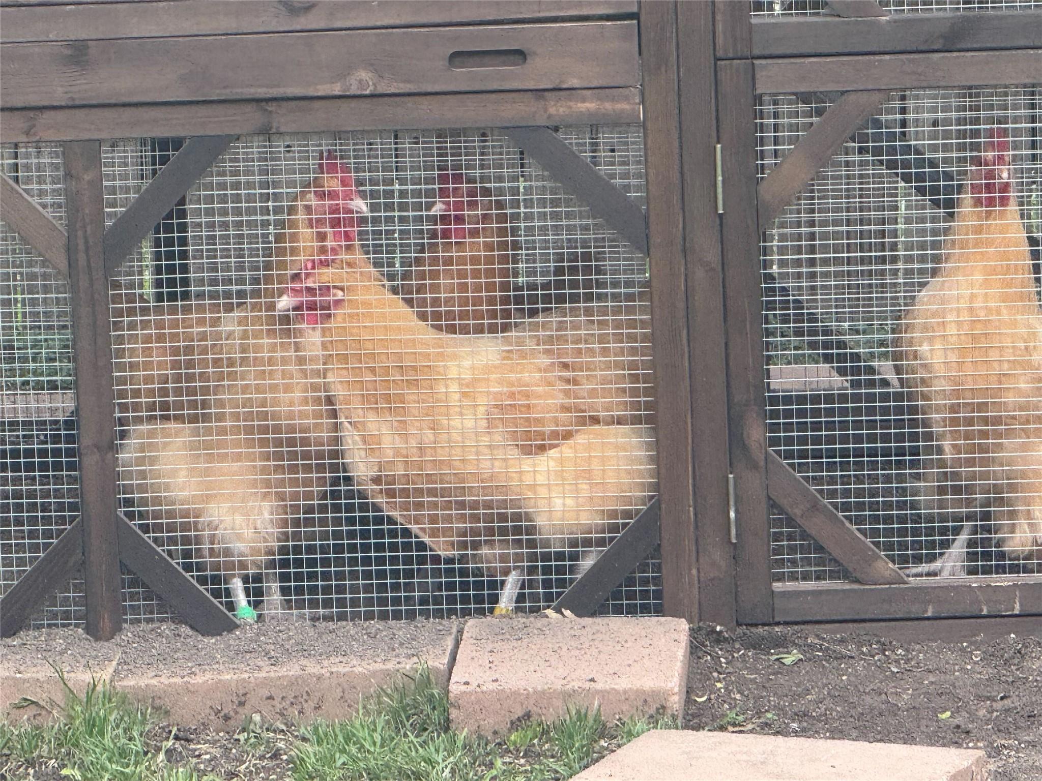 11601 Forest Rain, Live Oak, TX 78233