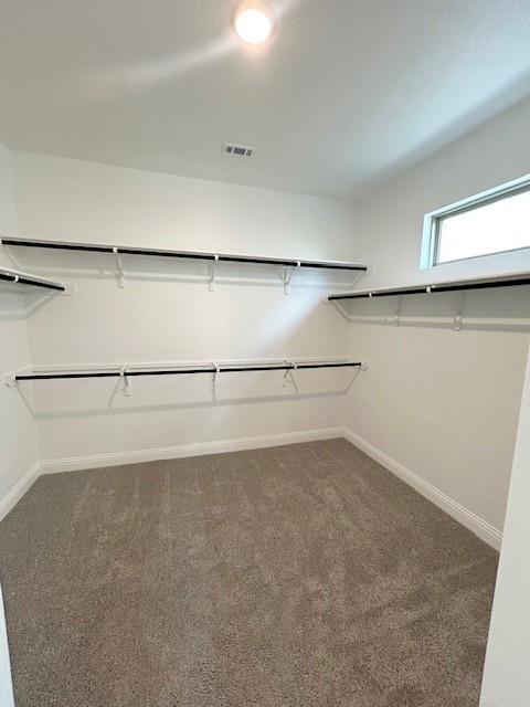 1508 Corduroy Ln, Georgetown, TX 78633