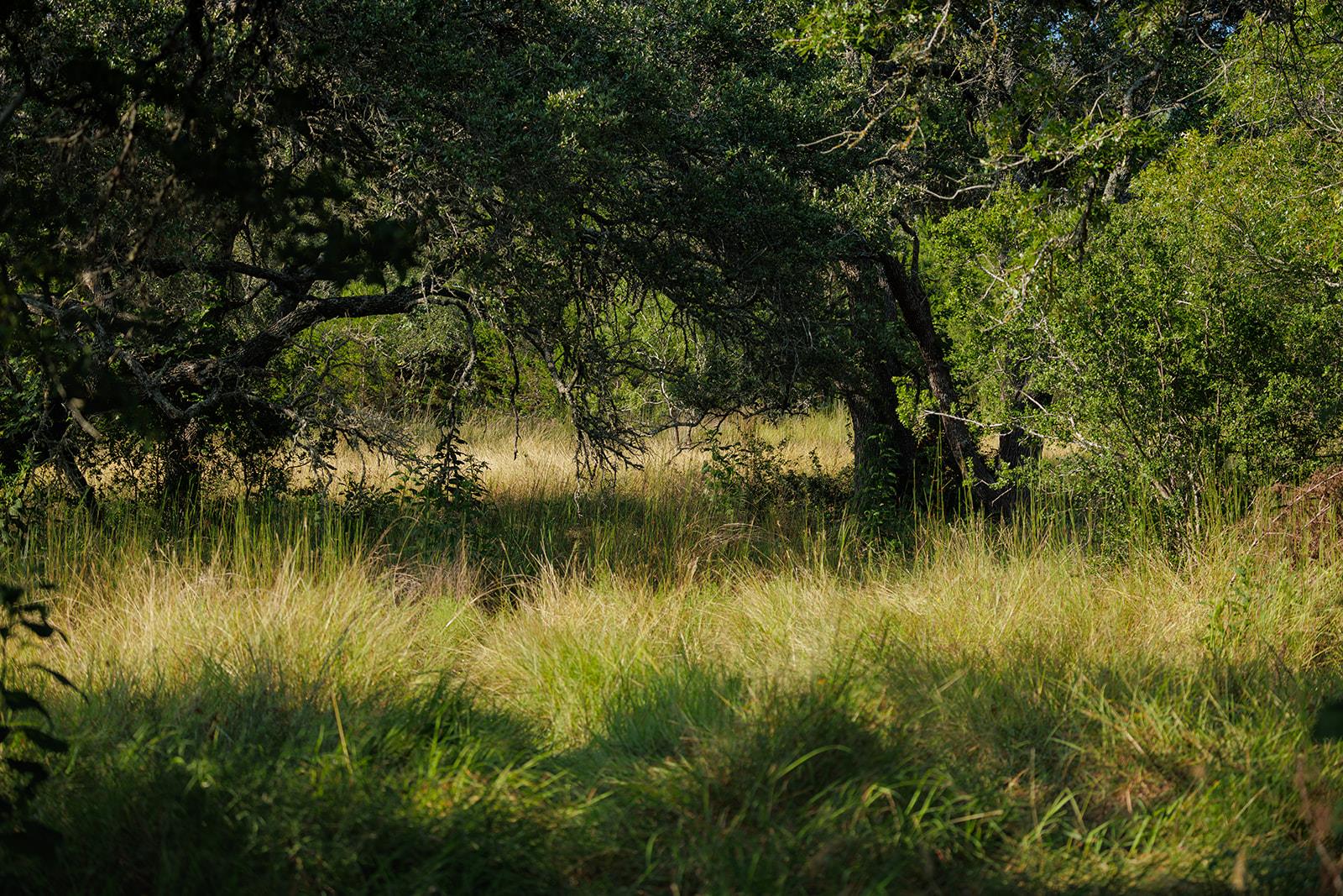 3067 Ranch Road 1888, Blanco, TX 78606