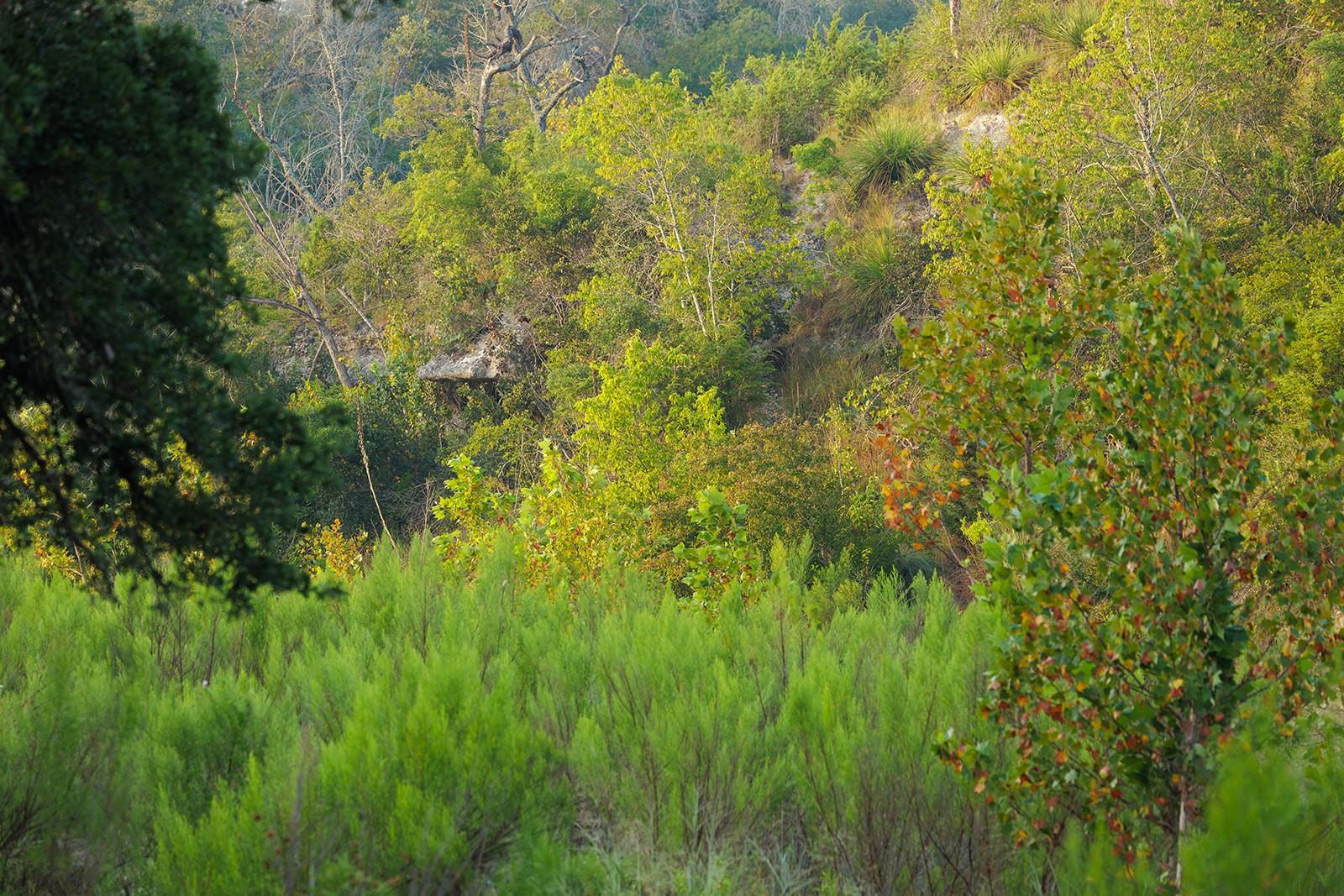 3067 Ranch Road 1888, Blanco, TX 78606