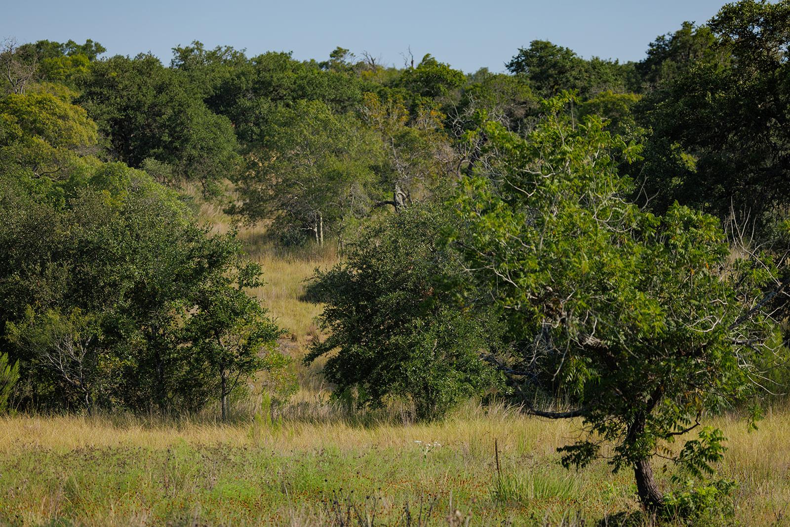 3067 Ranch Road 1888, Blanco, TX 78606