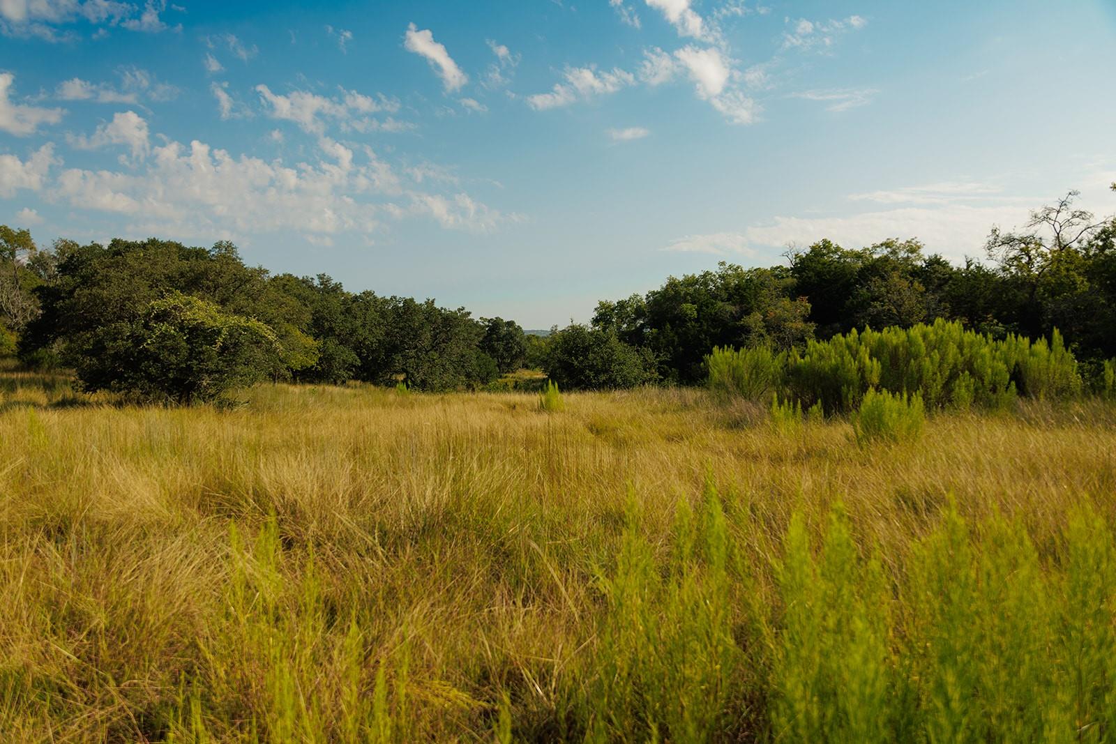 3067 Ranch Road 1888, Blanco, TX 78606