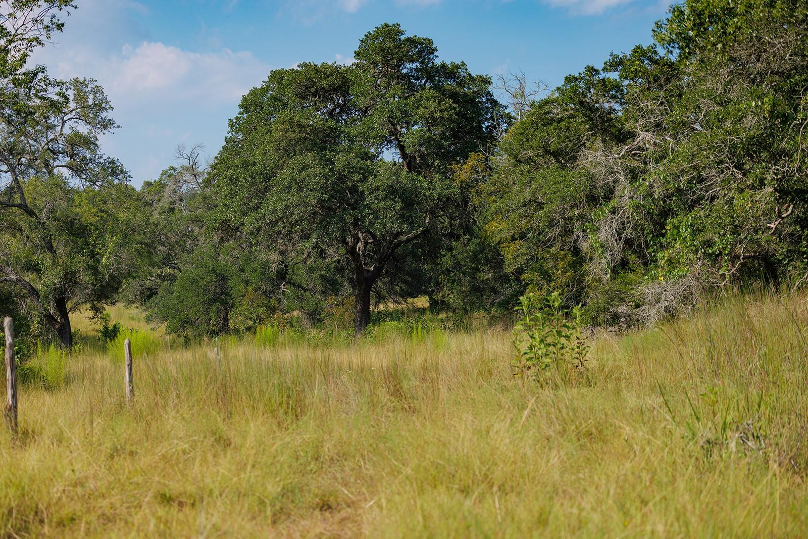 3067 Ranch Road 1888, Blanco, TX 78606