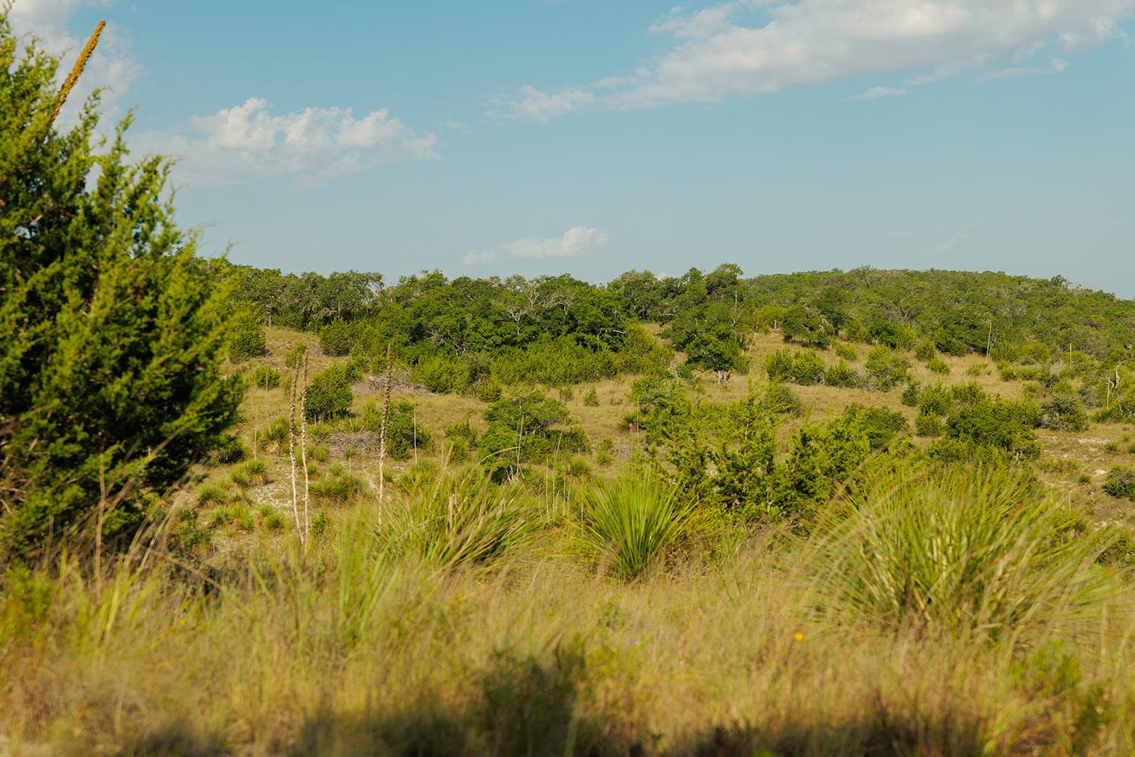 3067 Ranch Road 1888, Blanco, TX 78606