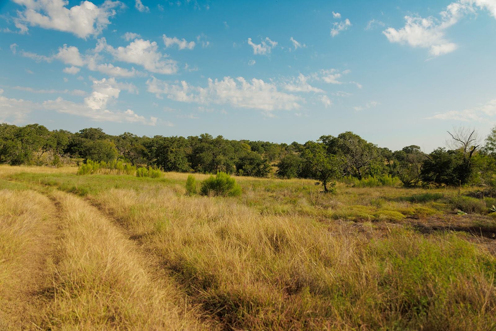 3067 Ranch Road 1888, Blanco, TX 78606