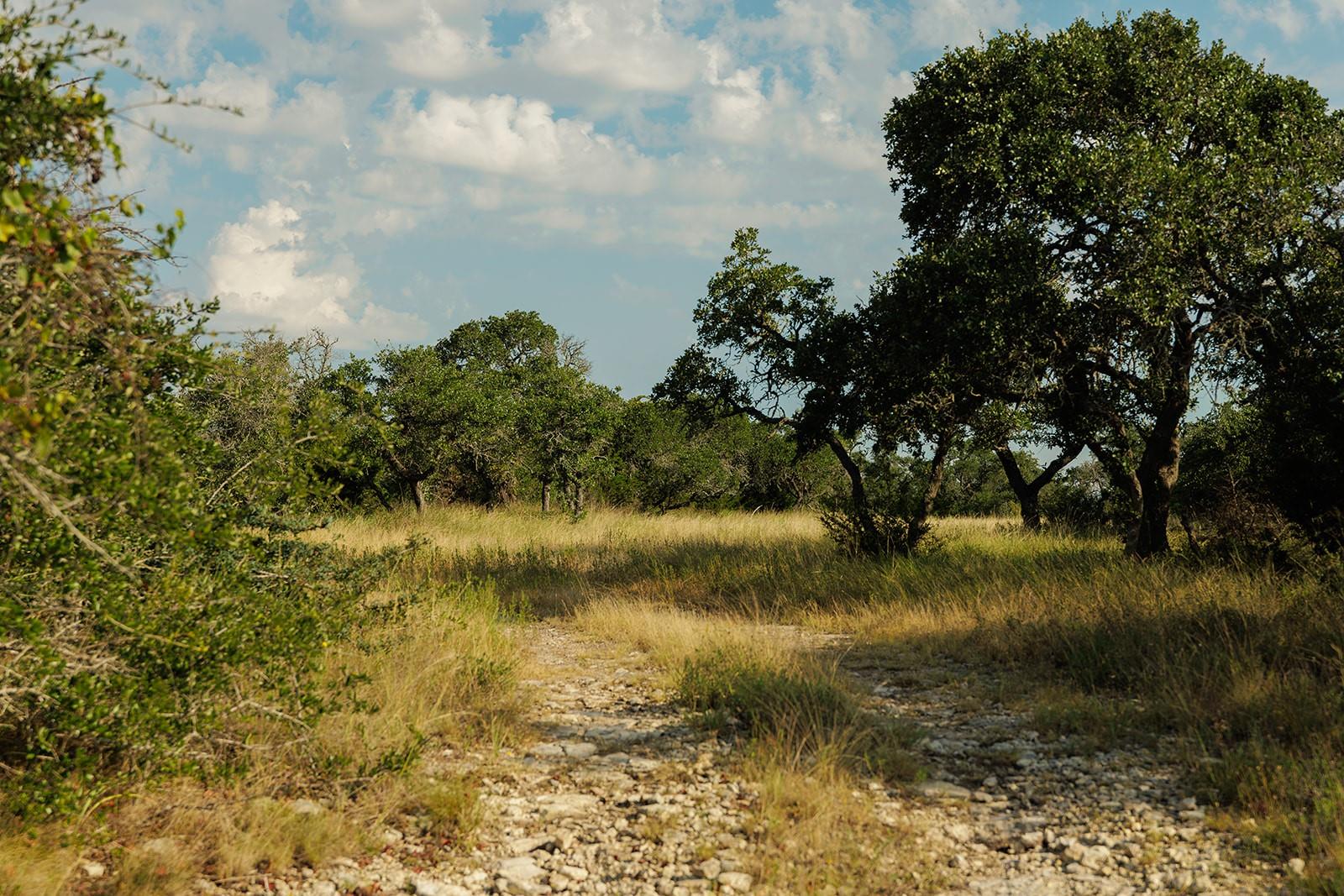 3067 Ranch Road 1888, Blanco, TX 78606