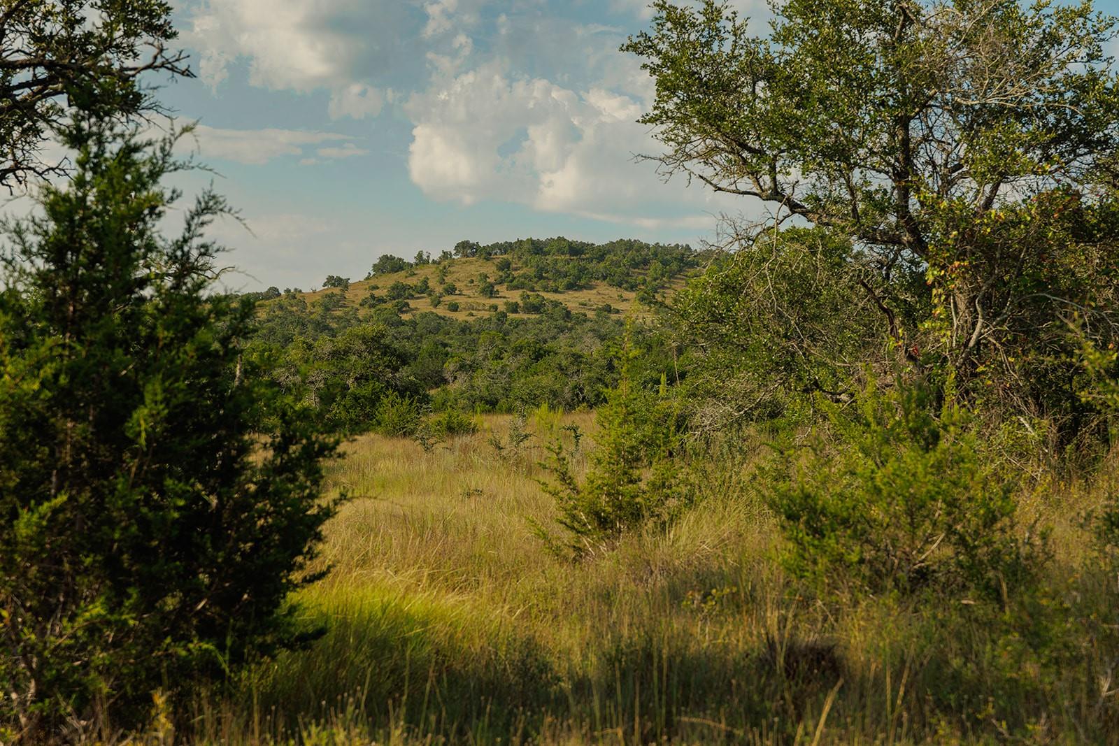 3067 Ranch Road 1888, Blanco, TX 78606