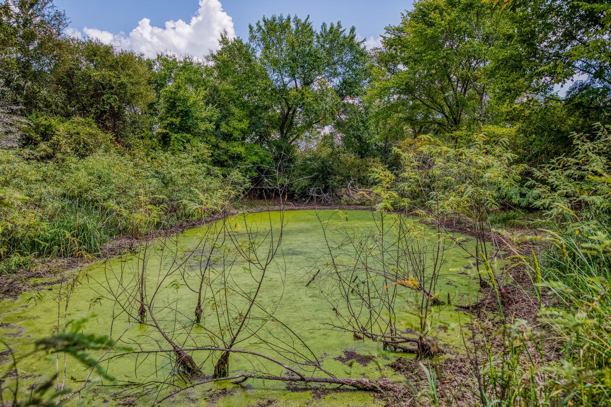 8671 County Road 324, Caldwell, TX 77836