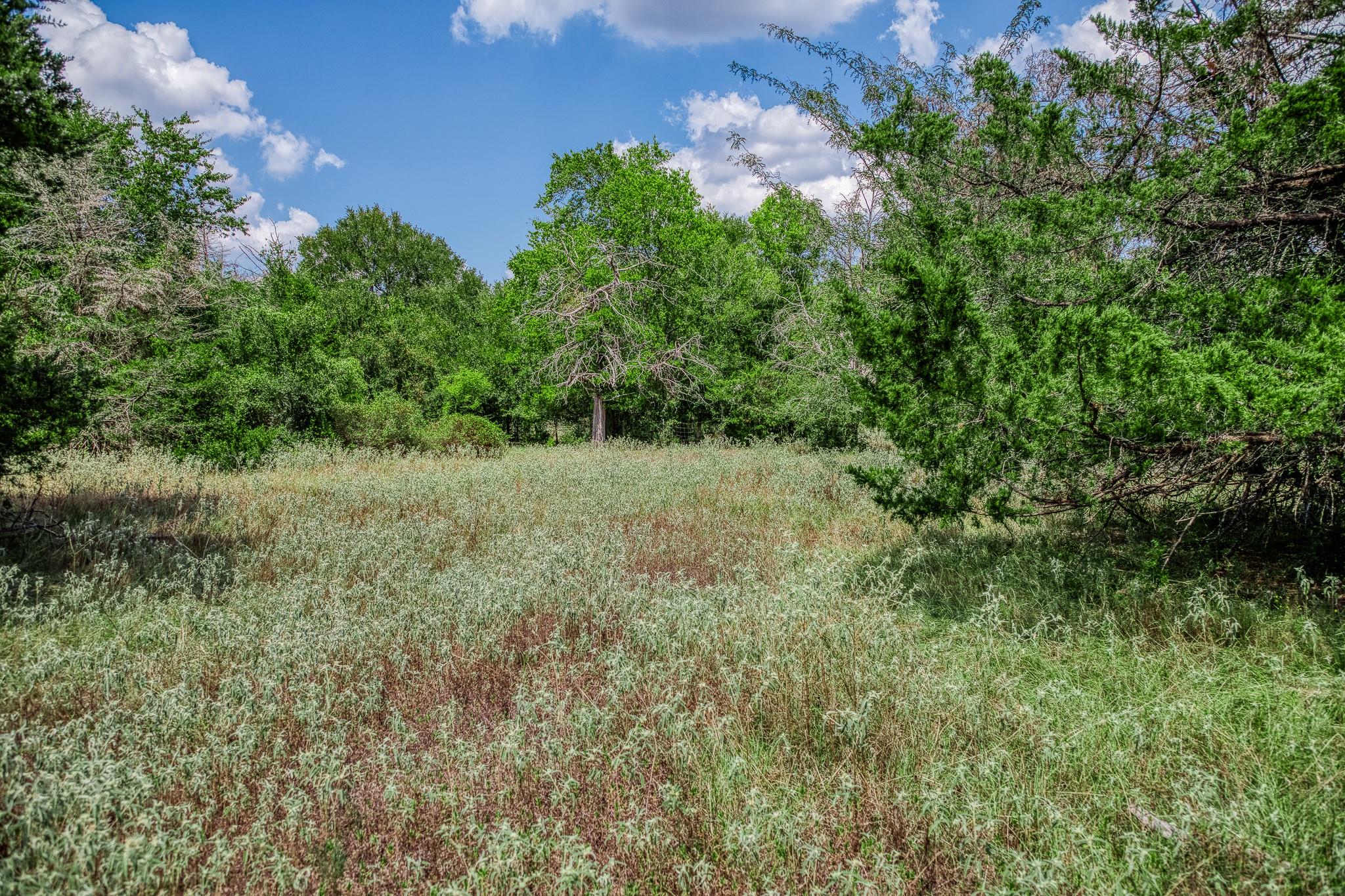8671 County Road 324, Caldwell, TX 77836