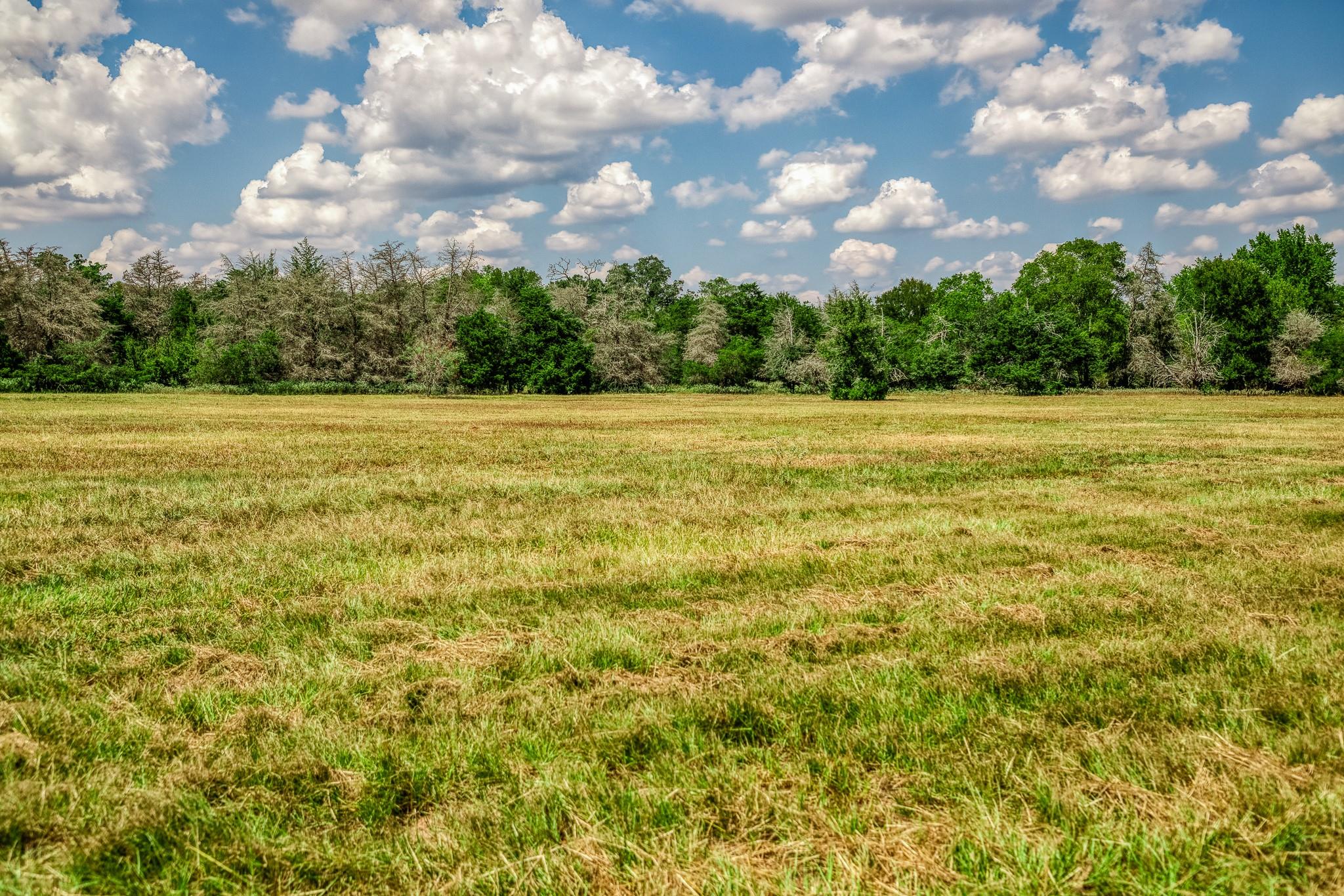 8671 County Road 324, Caldwell, TX 77836