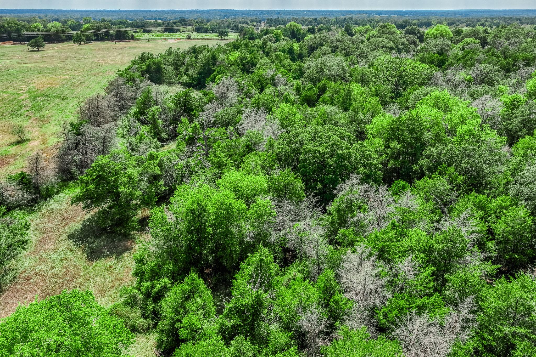 8671 County Road 324, Caldwell, TX 77836