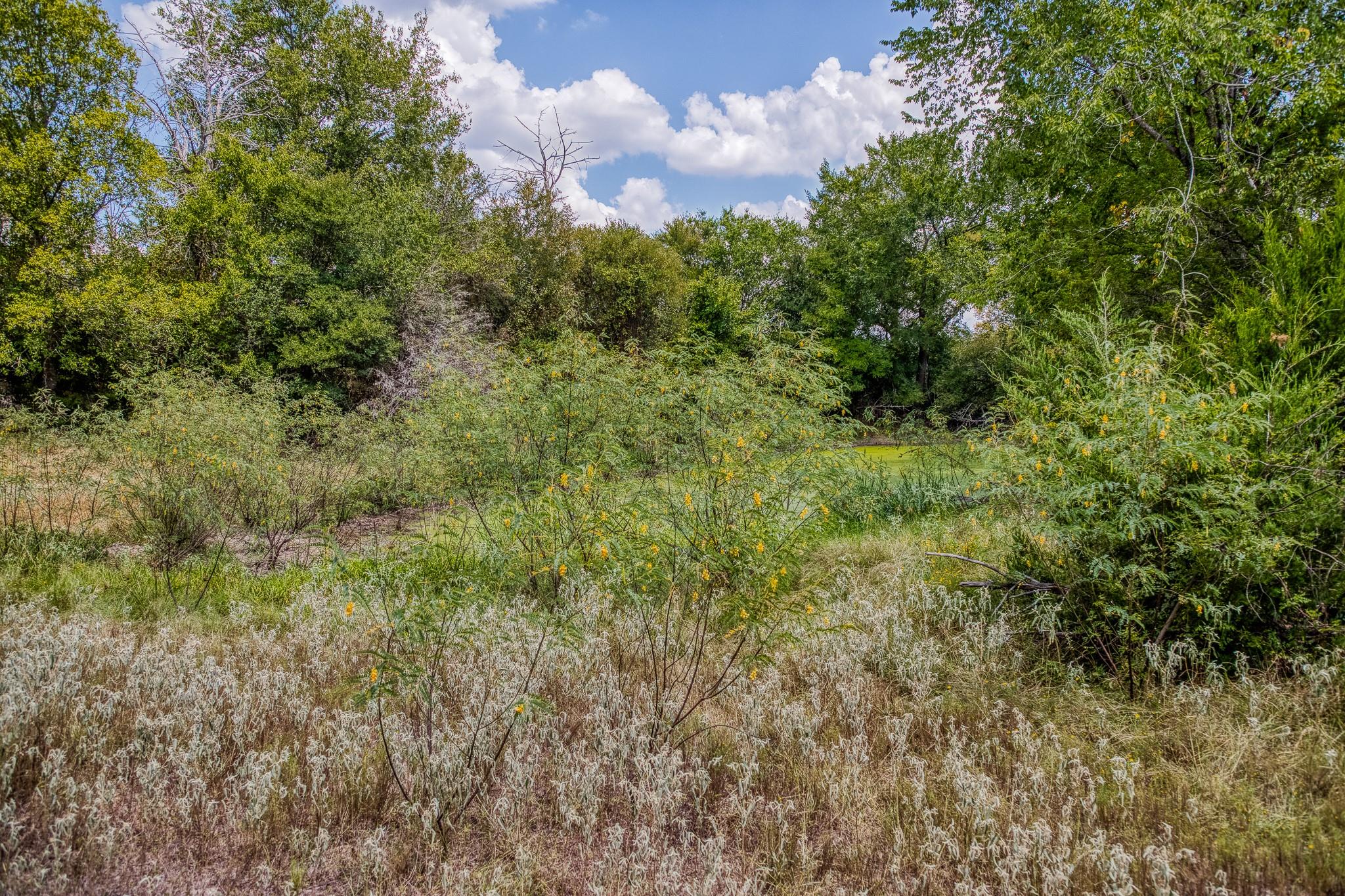 8671 County Road 324, Caldwell, TX 77836