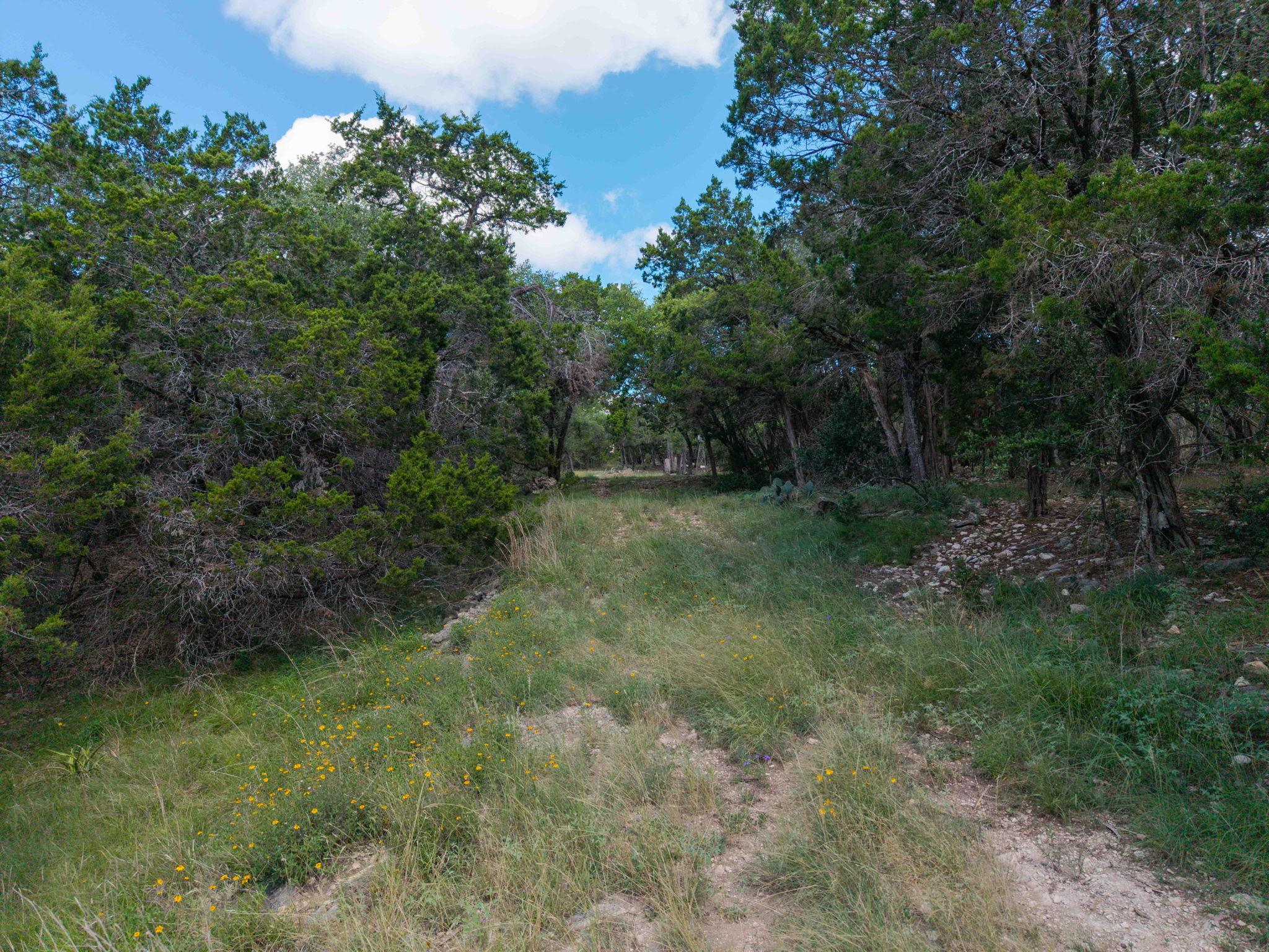 581 Gallagher Dr, Canyon Lake, TX 78133