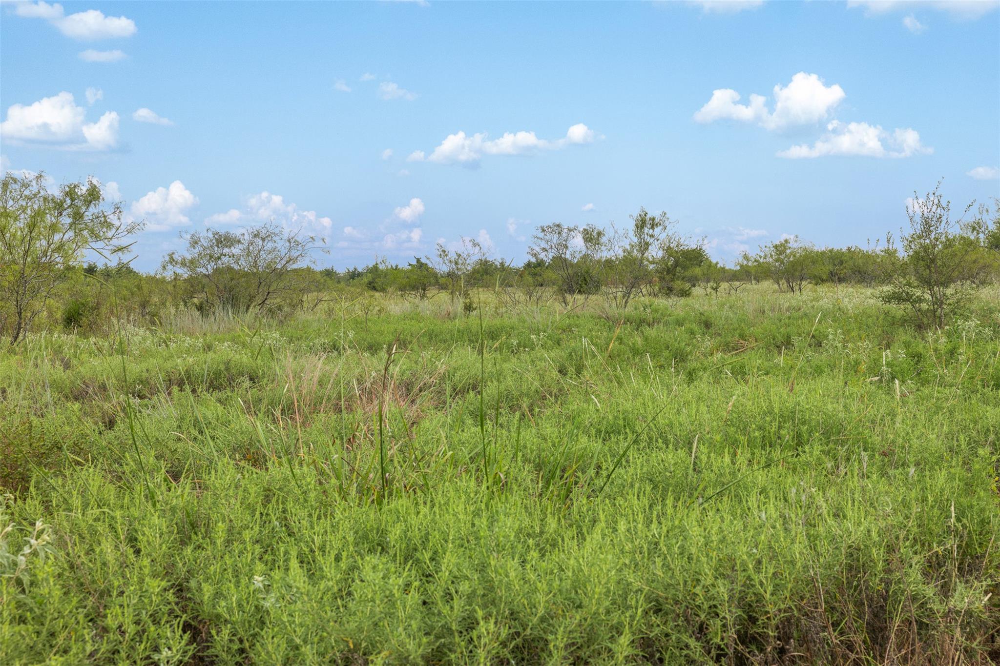 Tract 5 TBD LCR 390, Groesbeck, TX 76642