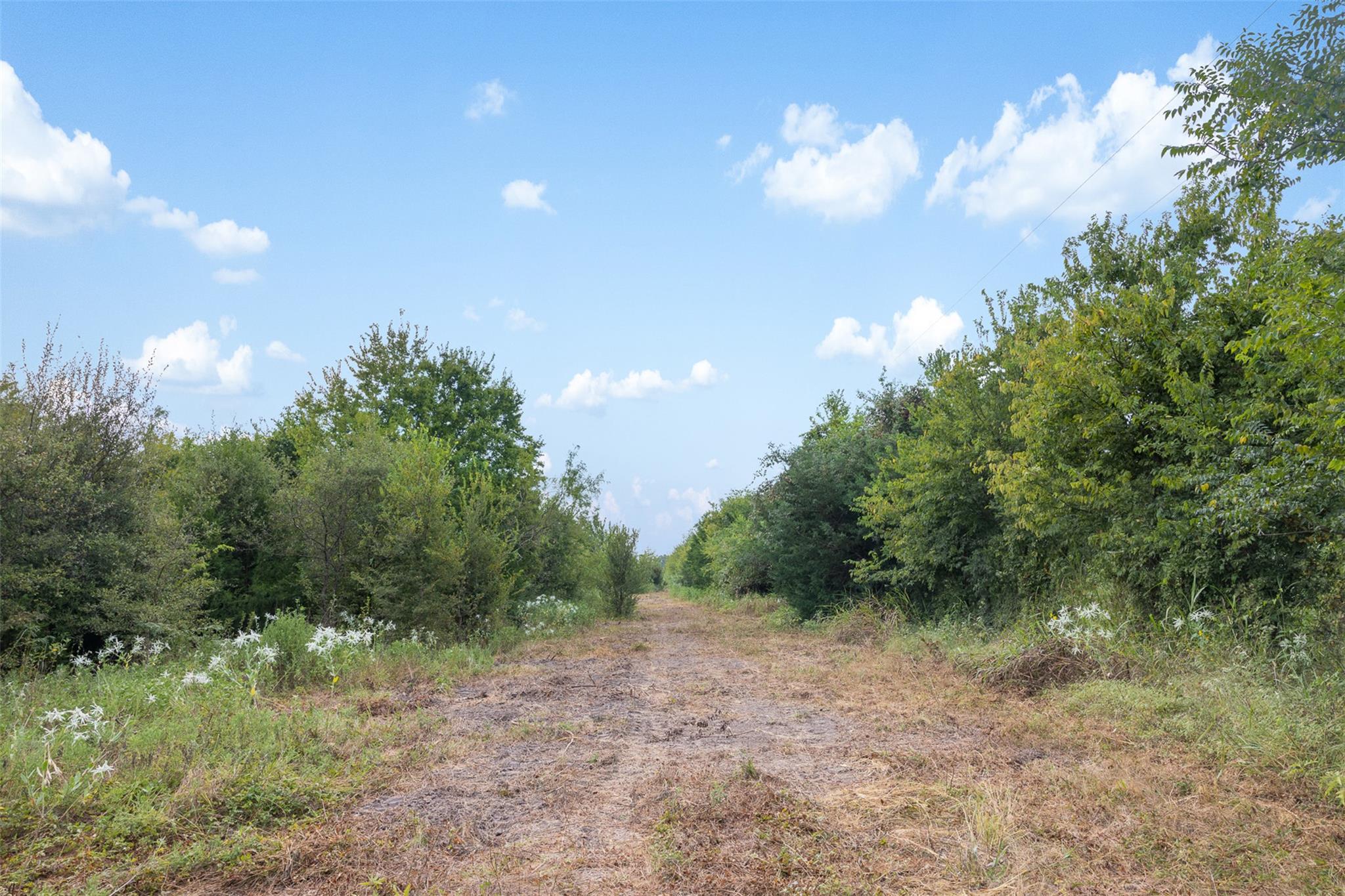 Tract 5 TBD LCR 390, Groesbeck, TX 76642