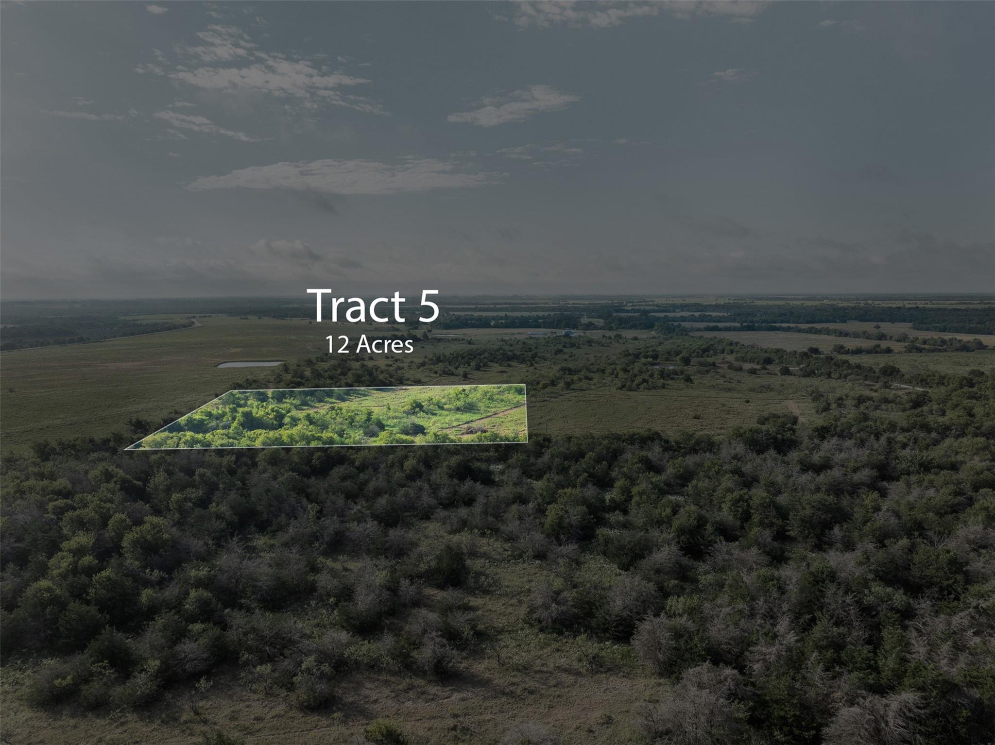 Tract 5 TBD LCR 390, Groesbeck, TX 76642