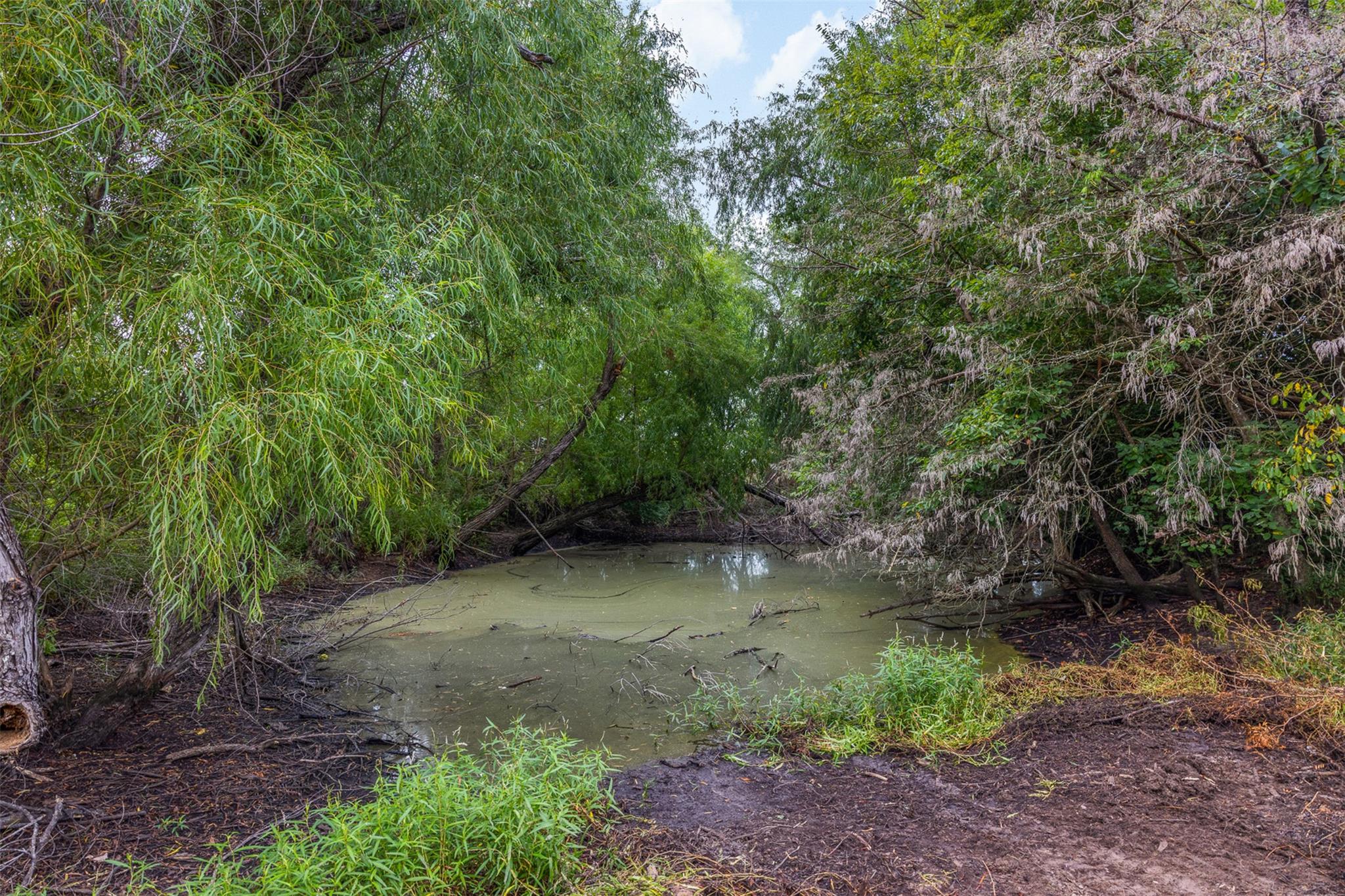 Tract 5 TBD LCR 390, Groesbeck, TX 76642