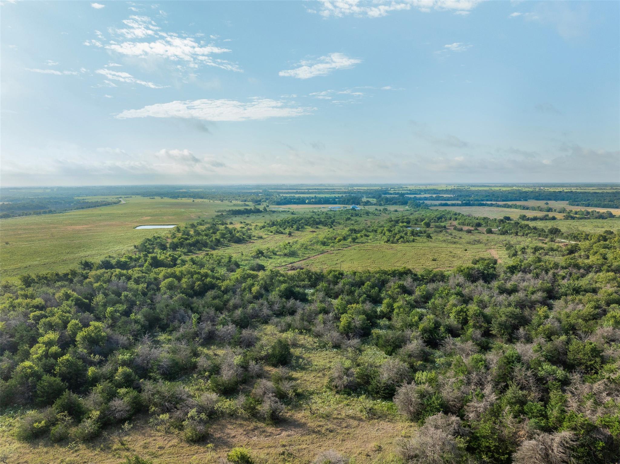 Tract 5 TBD LCR 390, Groesbeck, TX 76642