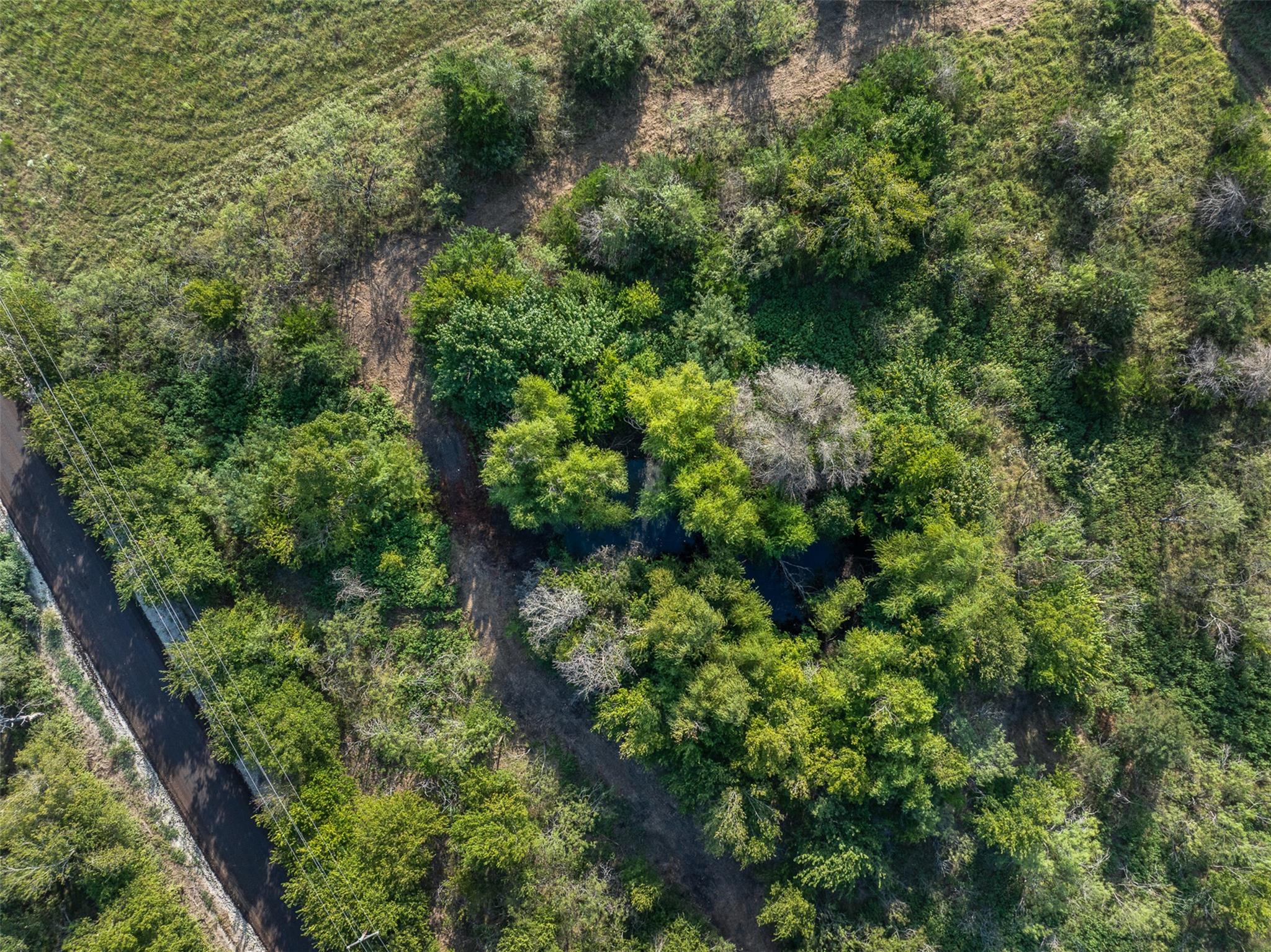 Tract 5 TBD LCR 390, Groesbeck, TX 76642