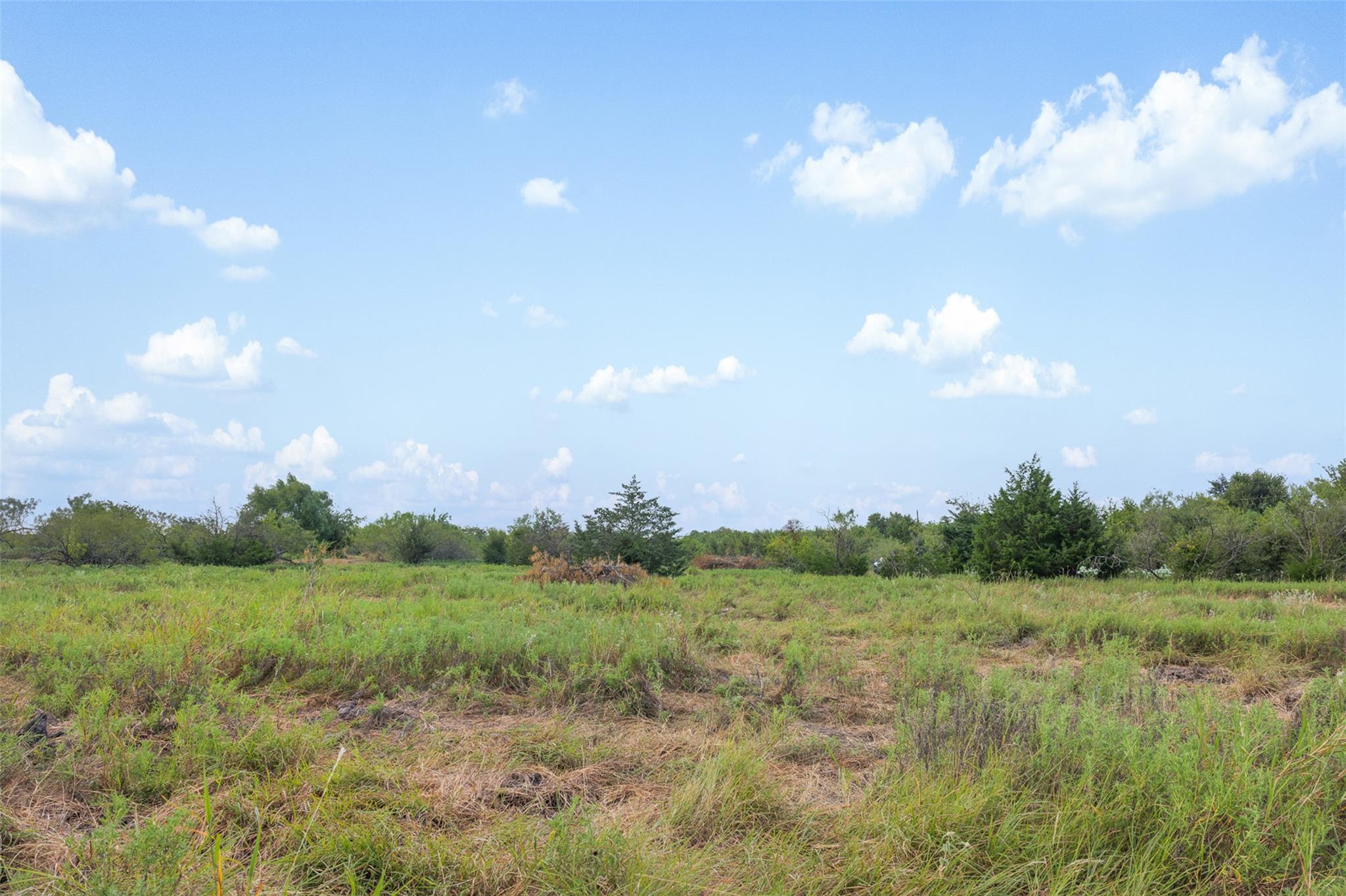 Tract 5 TBD LCR 390, Groesbeck, TX 76642