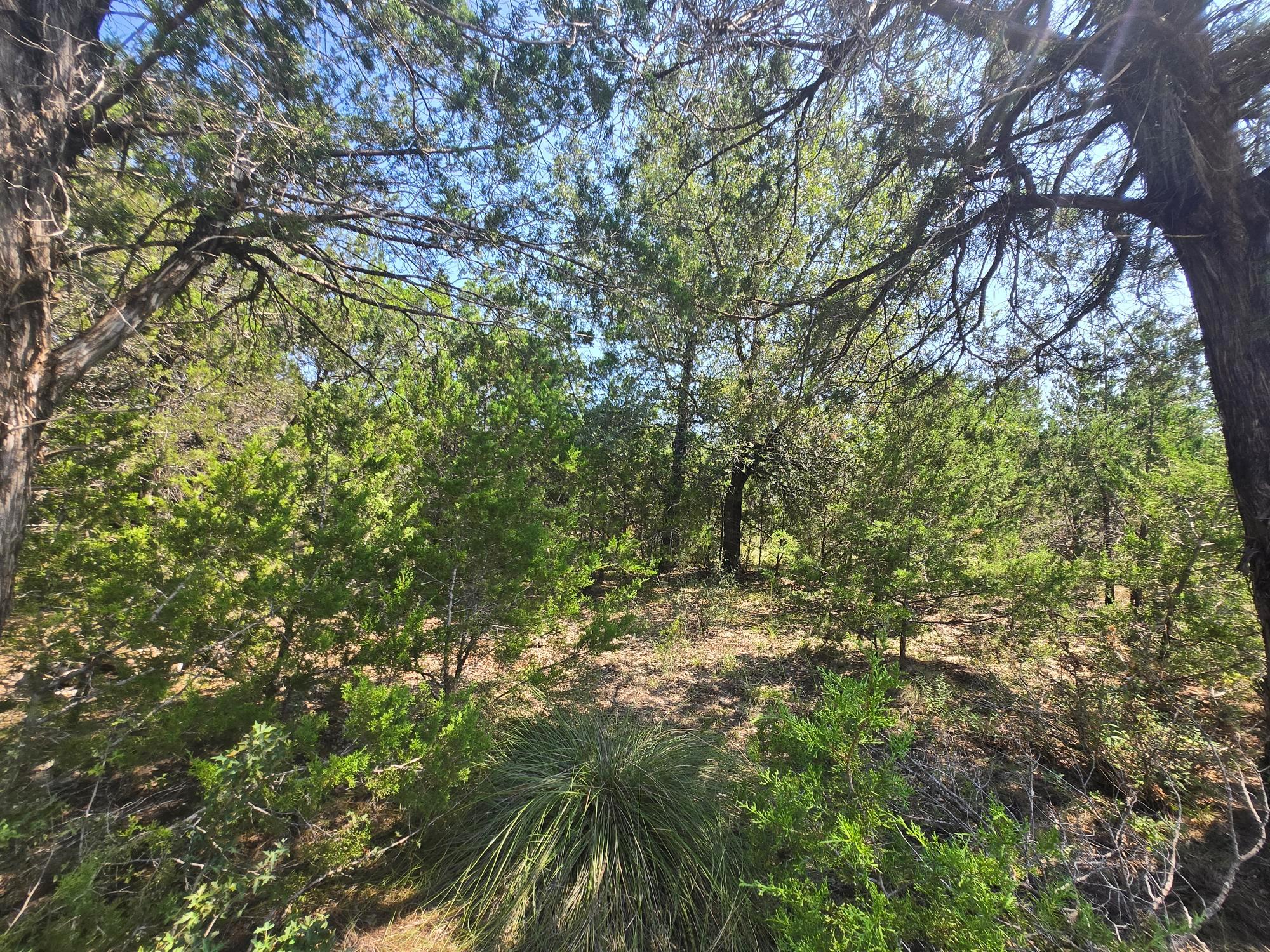 3301 Constitution Dr, Lago Vista, TX 78645