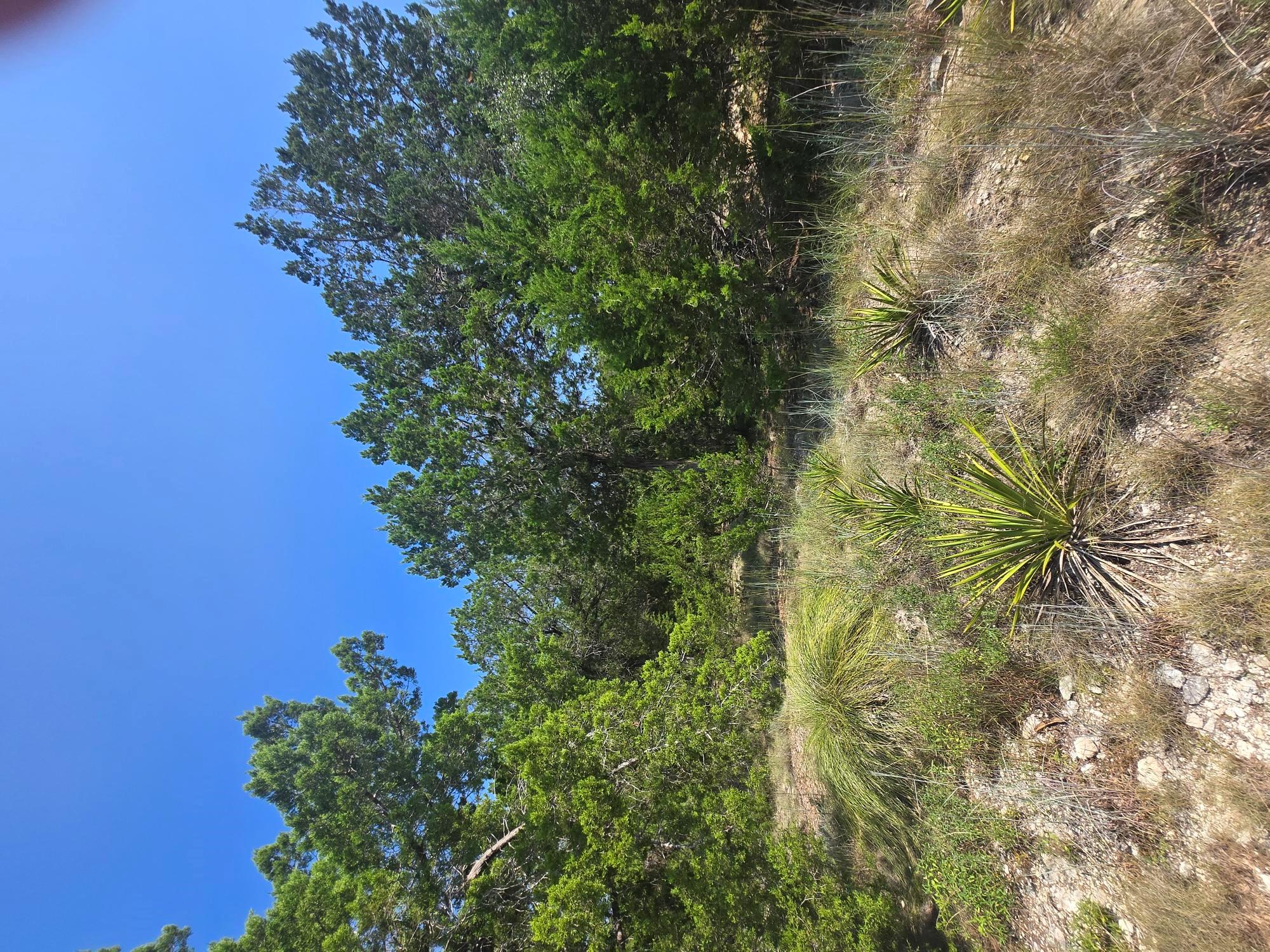 3301 Constitution Dr, Lago Vista, TX 78645