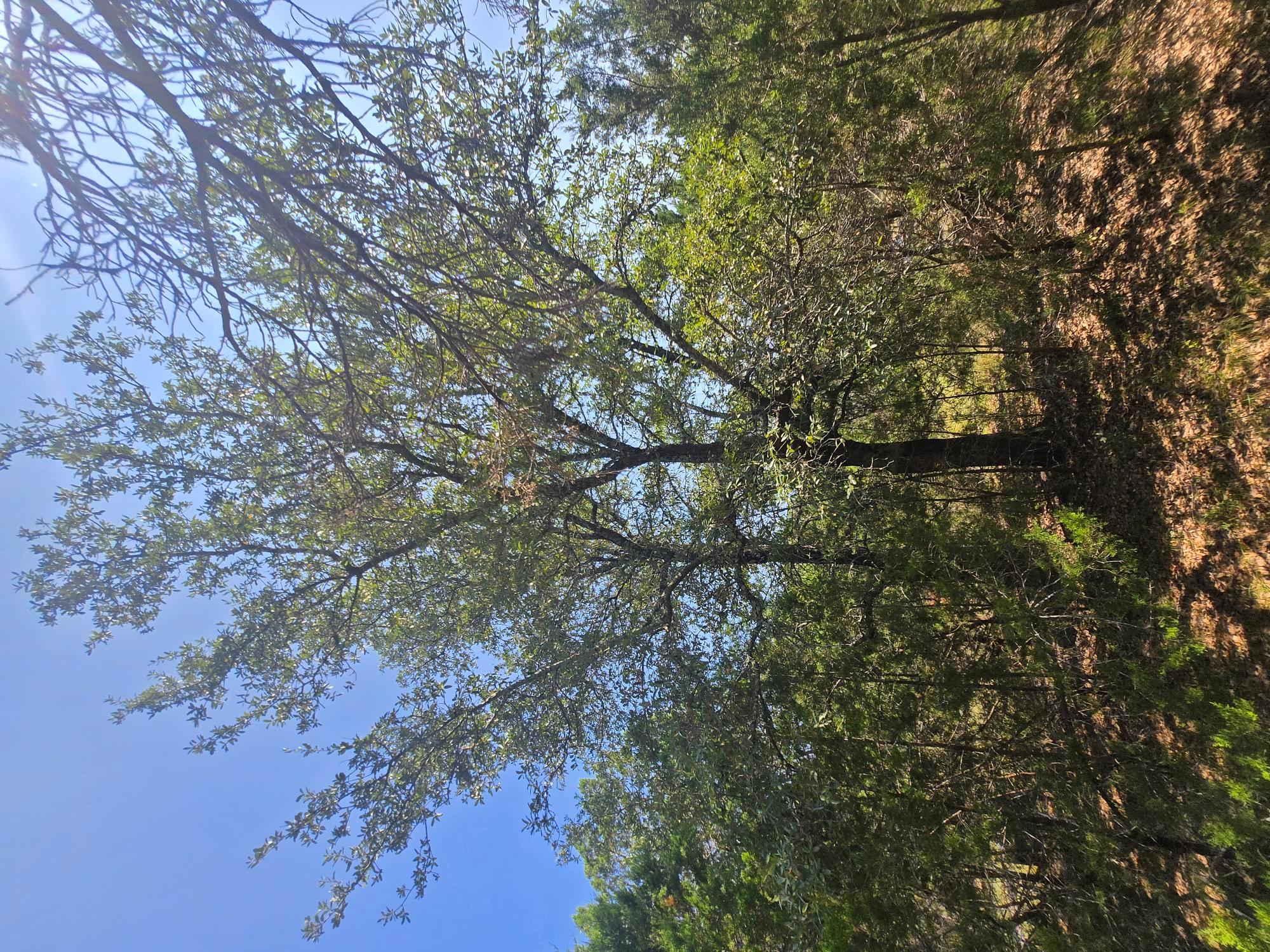 3301 Constitution Dr, Lago Vista, TX 78645