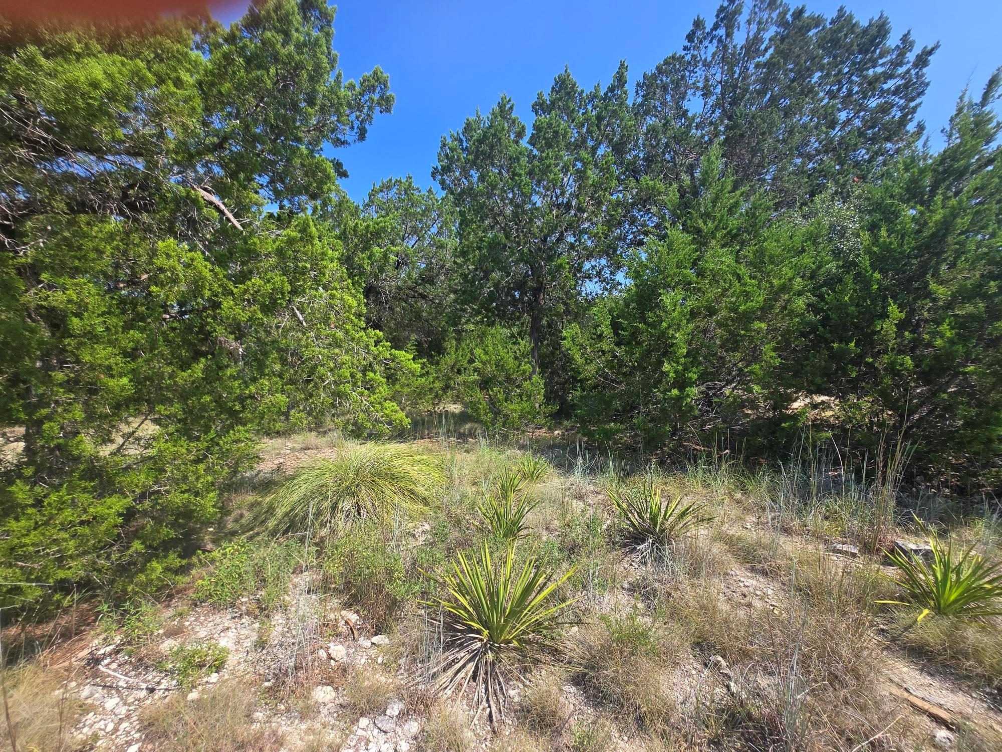 3301 Constitution Dr, Lago Vista, TX 78645