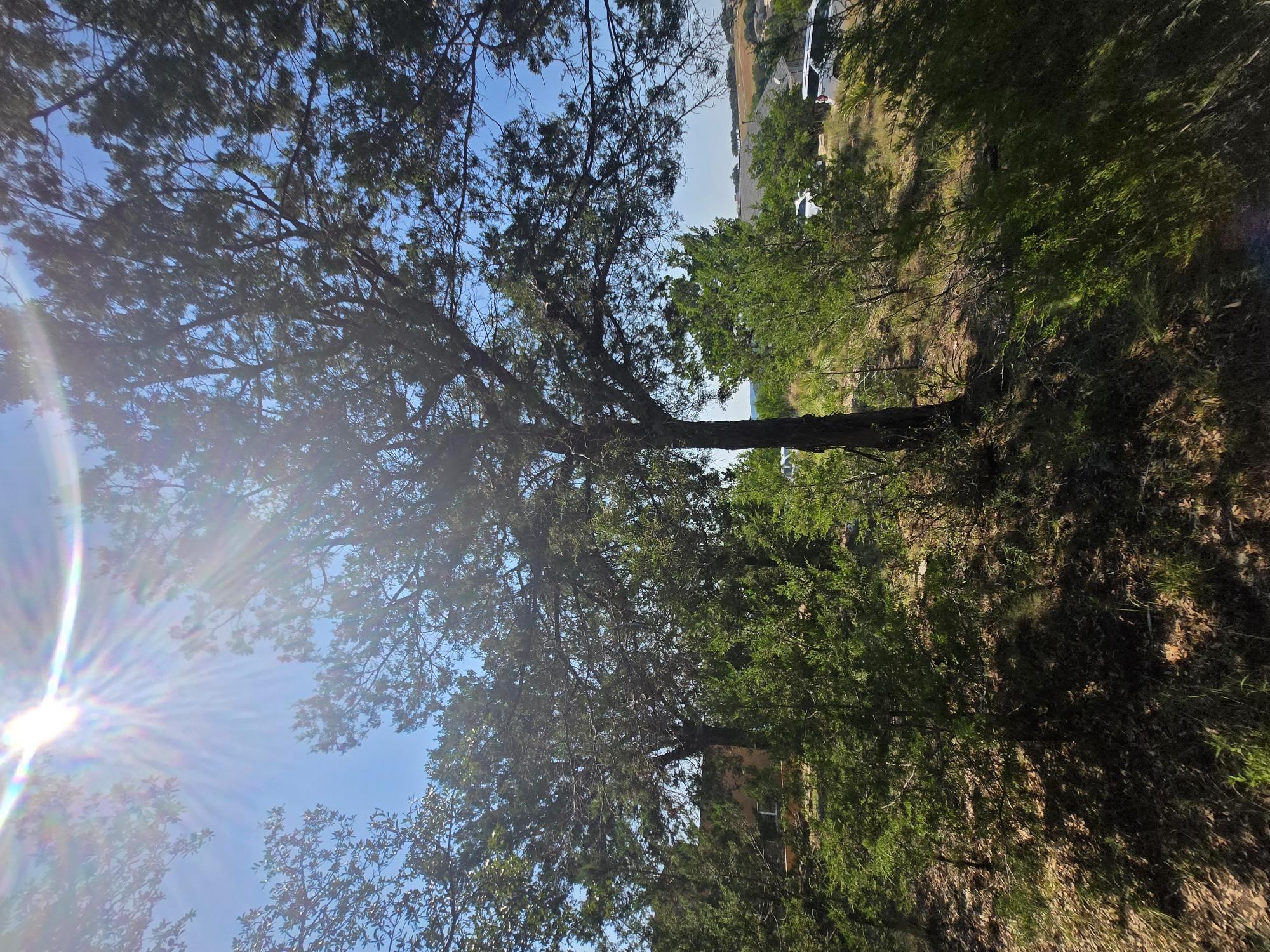 3301 Constitution Dr, Lago Vista, TX 78645