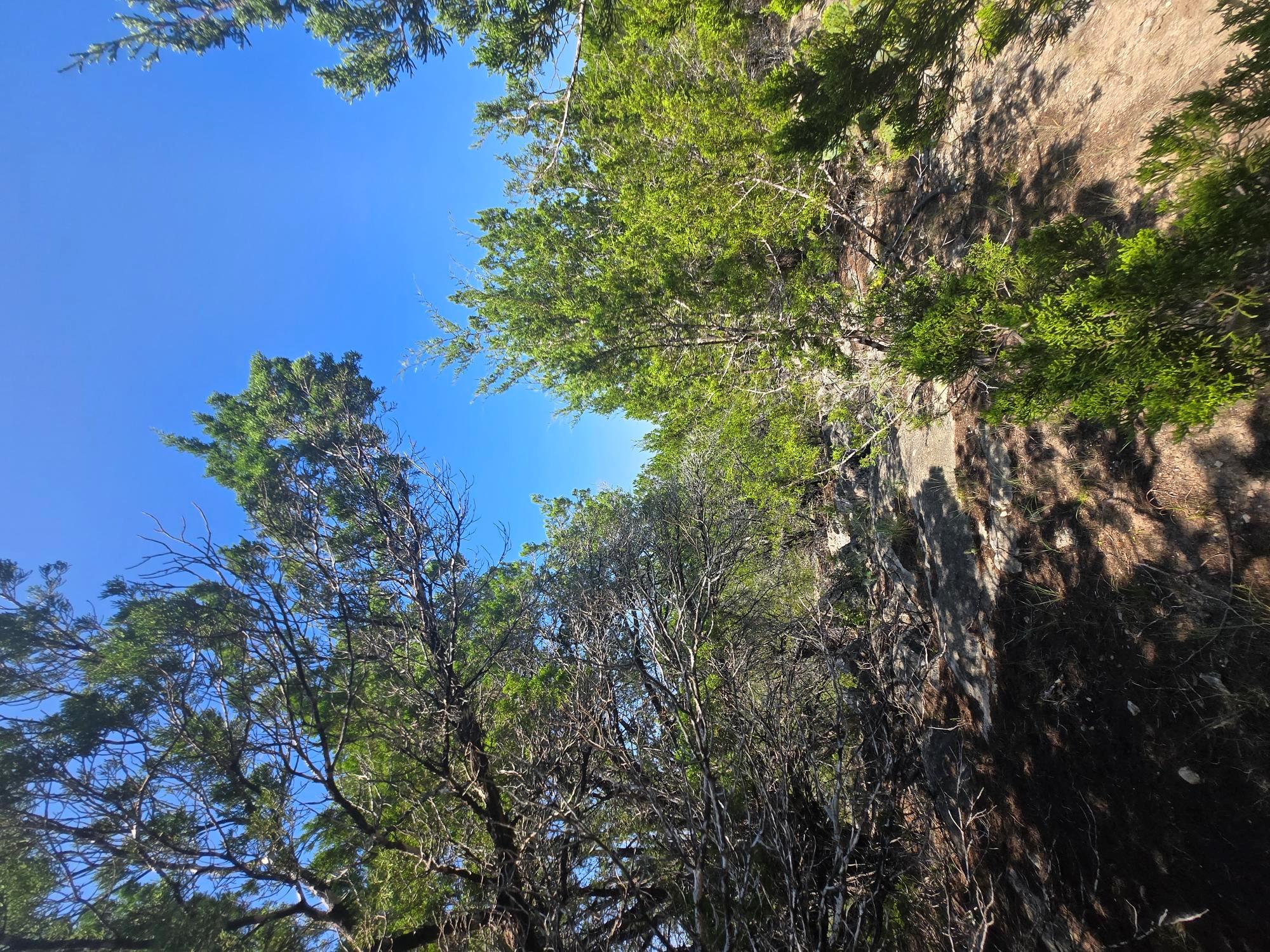 3301 Constitution Dr, Lago Vista, TX 78645