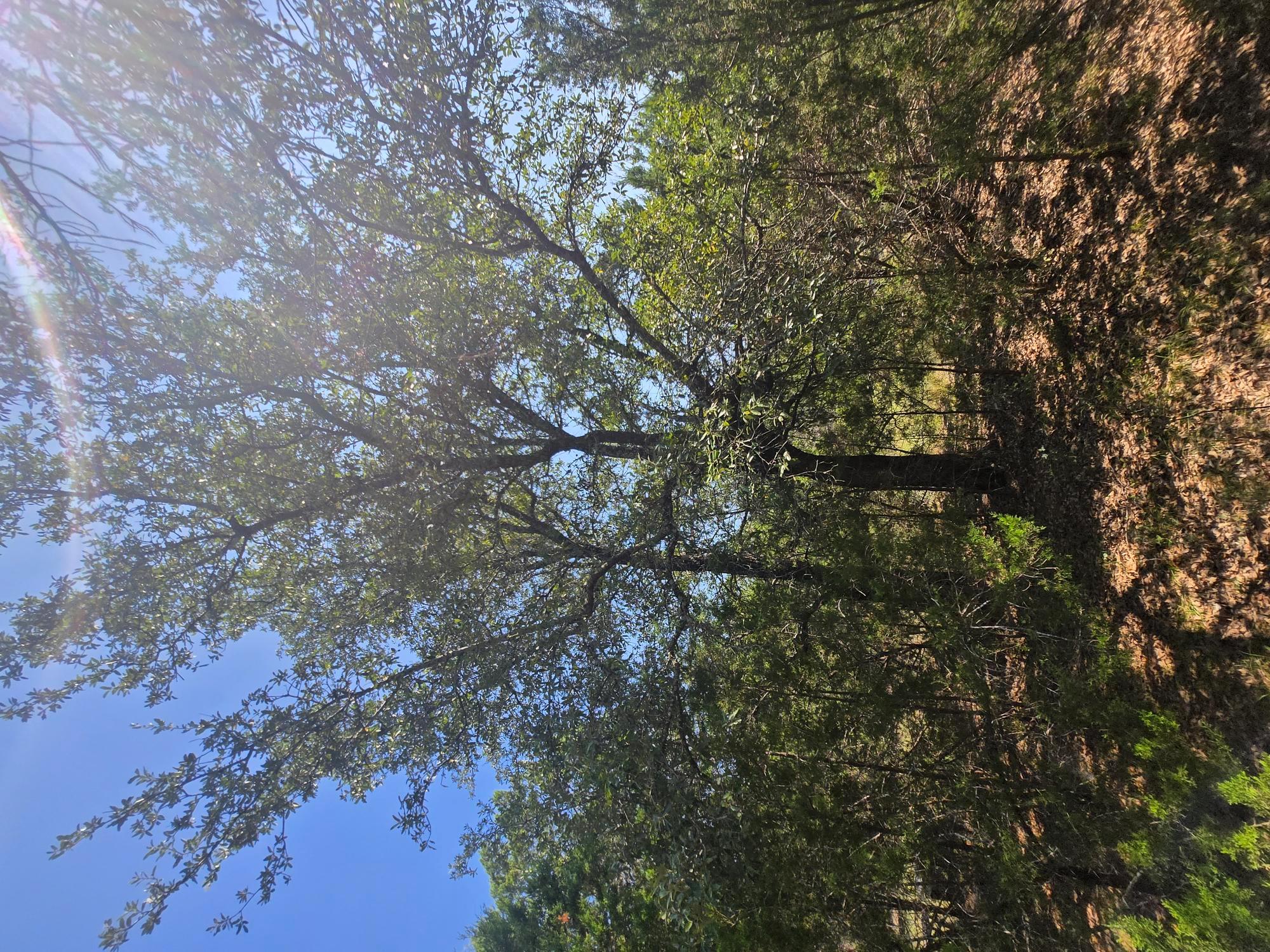 3301 Constitution Dr, Lago Vista, TX 78645