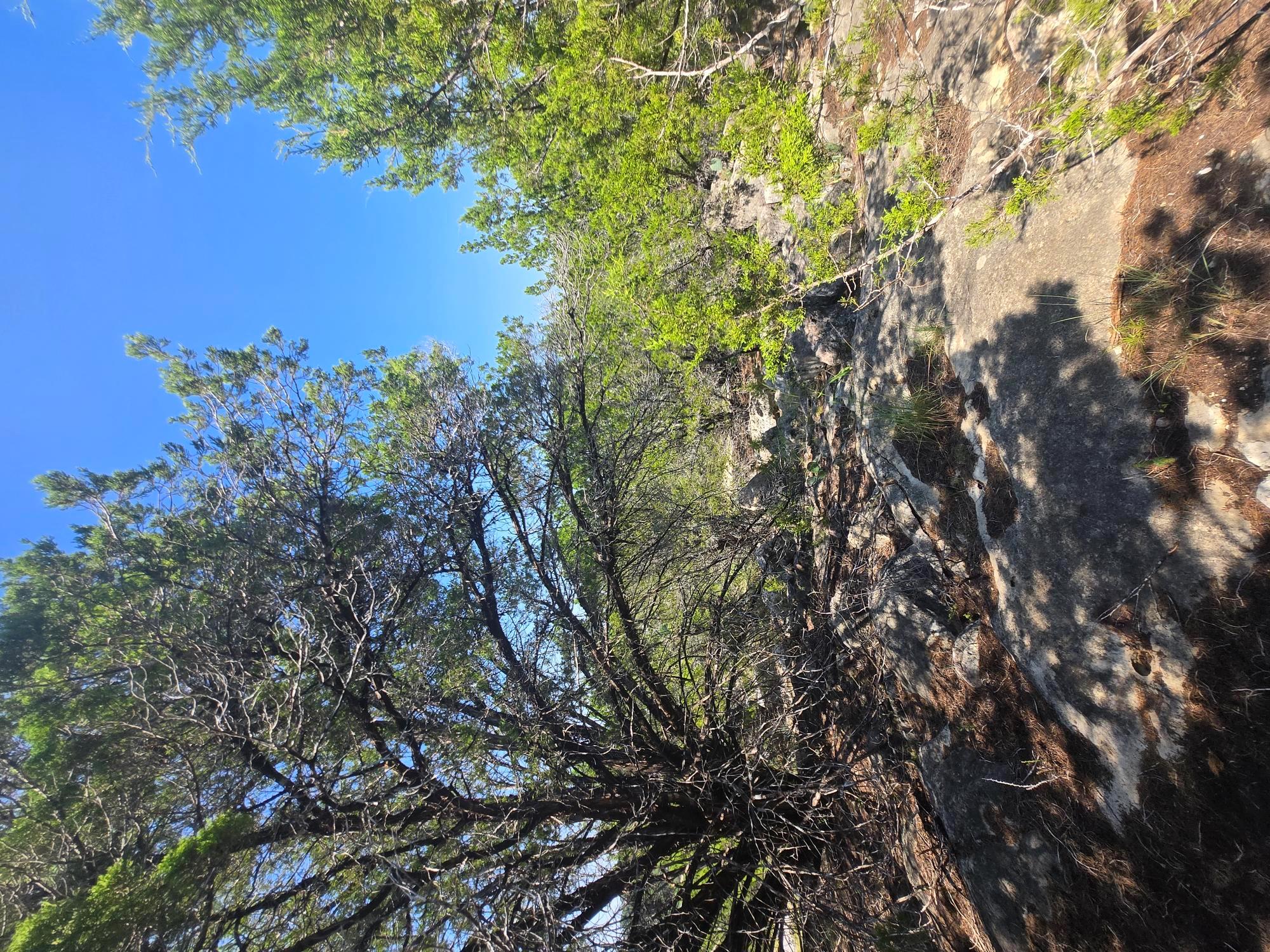 3301 Constitution Dr, Lago Vista, TX 78645