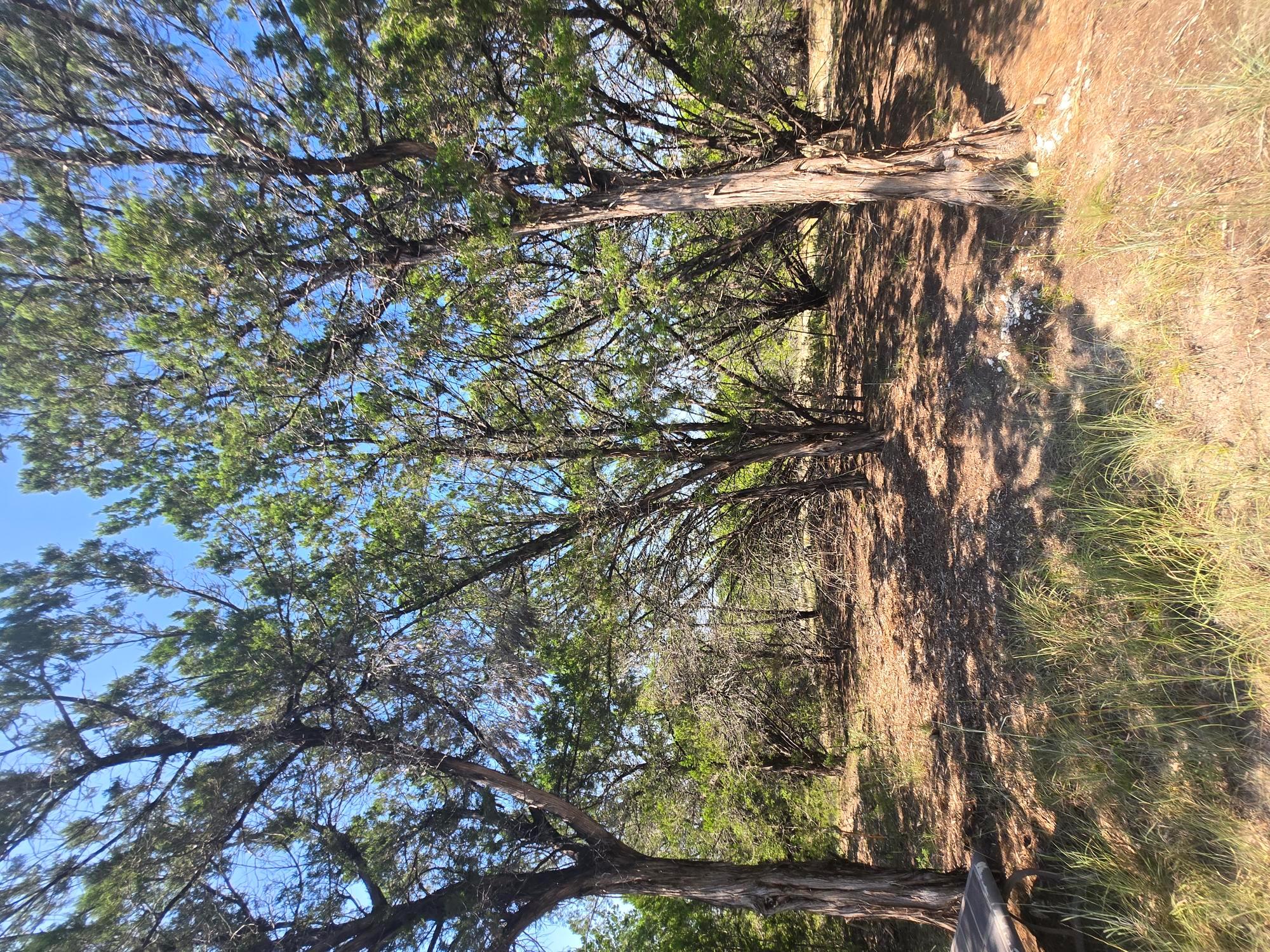 3301 Constitution Dr, Lago Vista, TX 78645