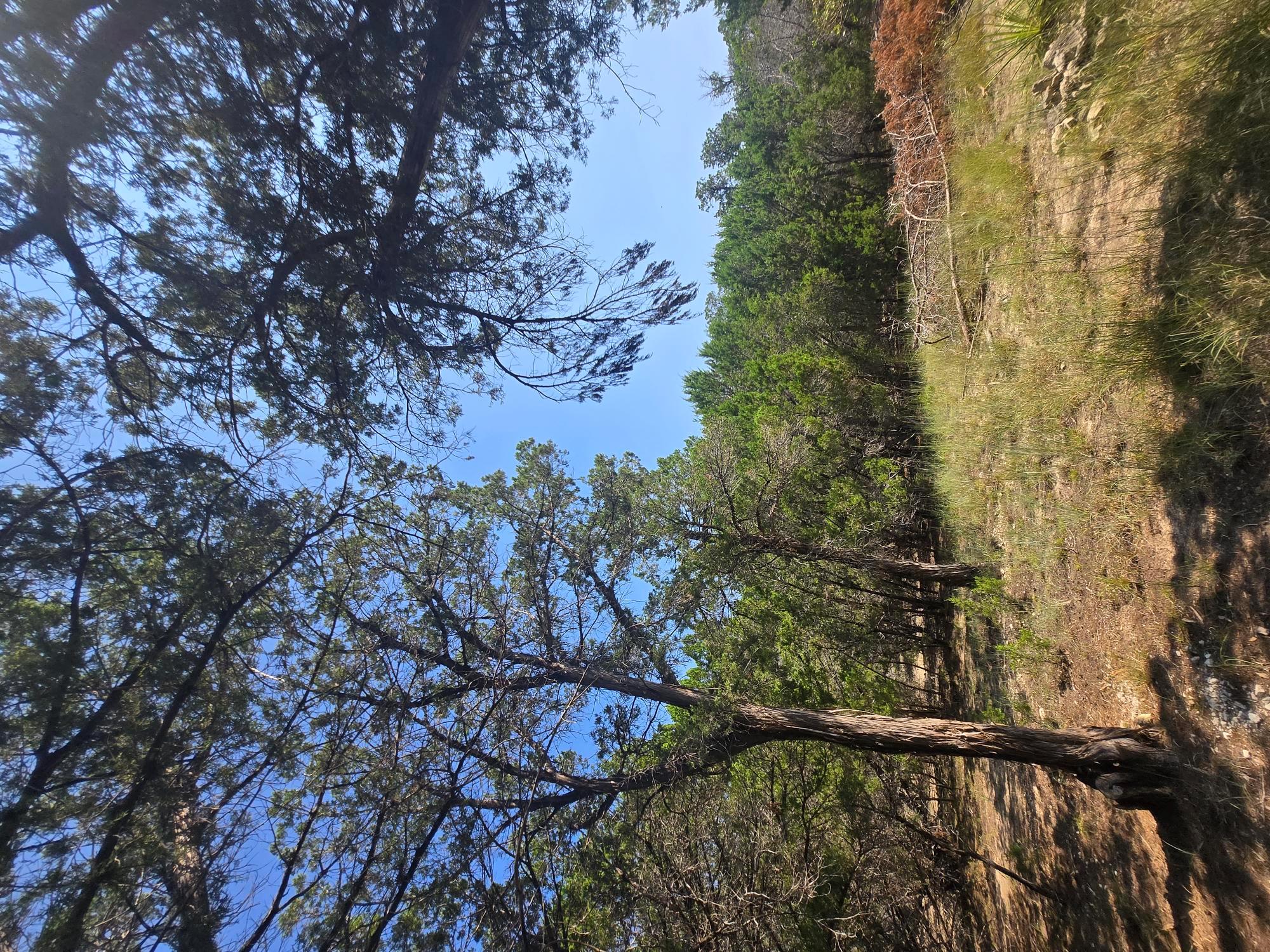 3301 Constitution Dr, Lago Vista, TX 78645