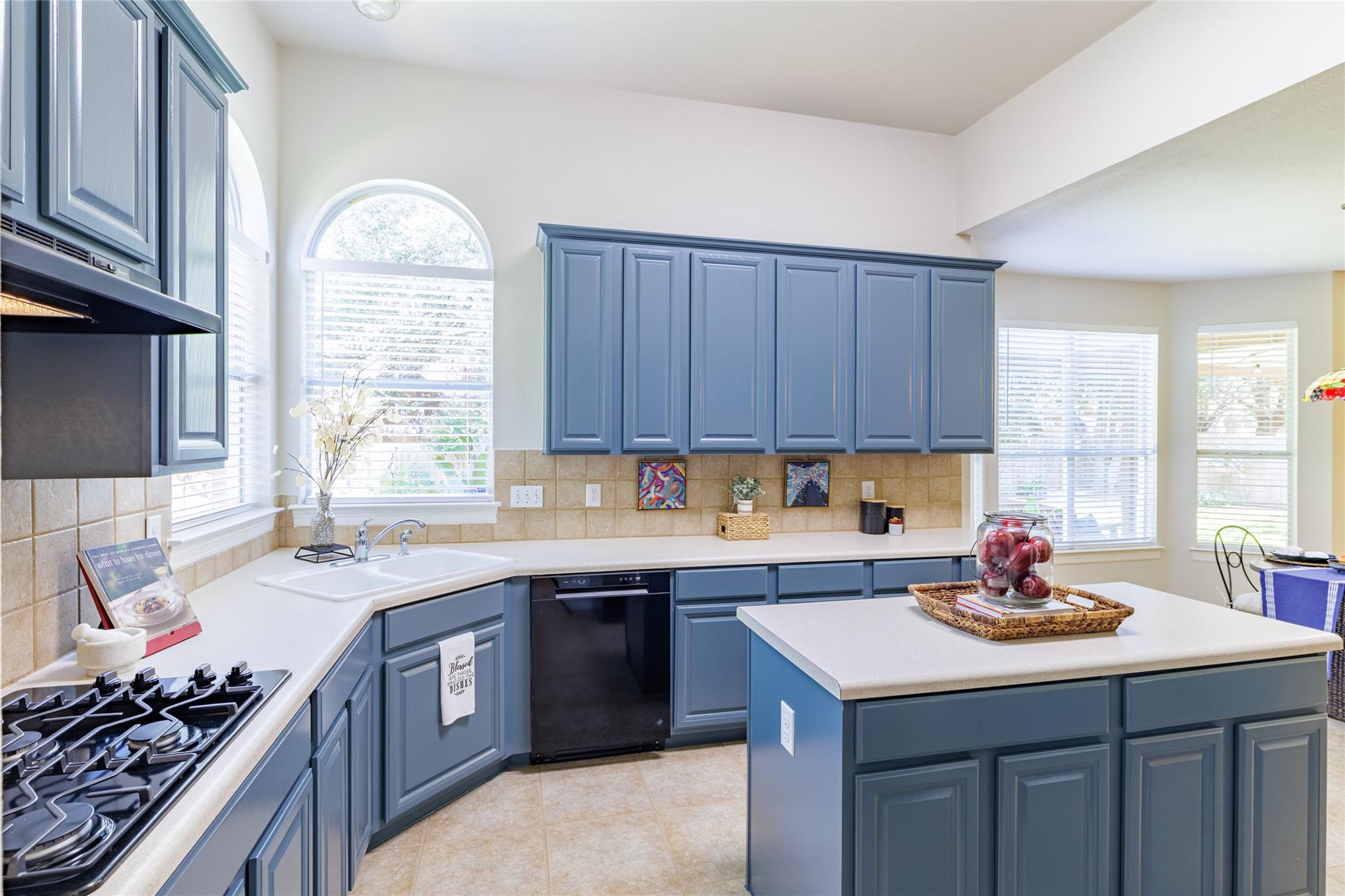 205 Ridge Run Ct, Georgetown, TX 78628