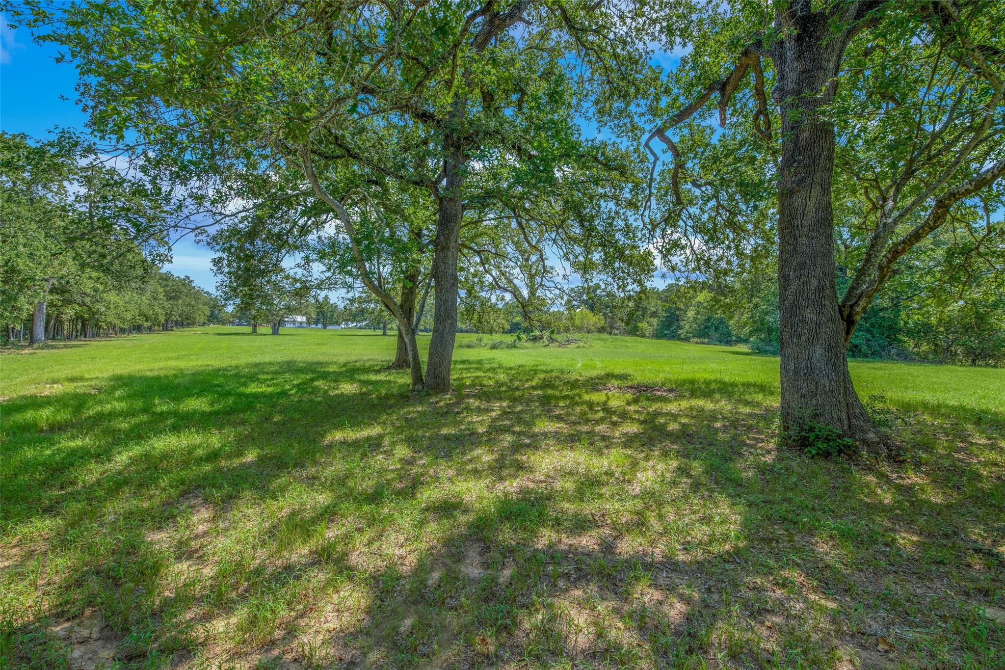 6899 E Hwy 79, Milano, TX 76556