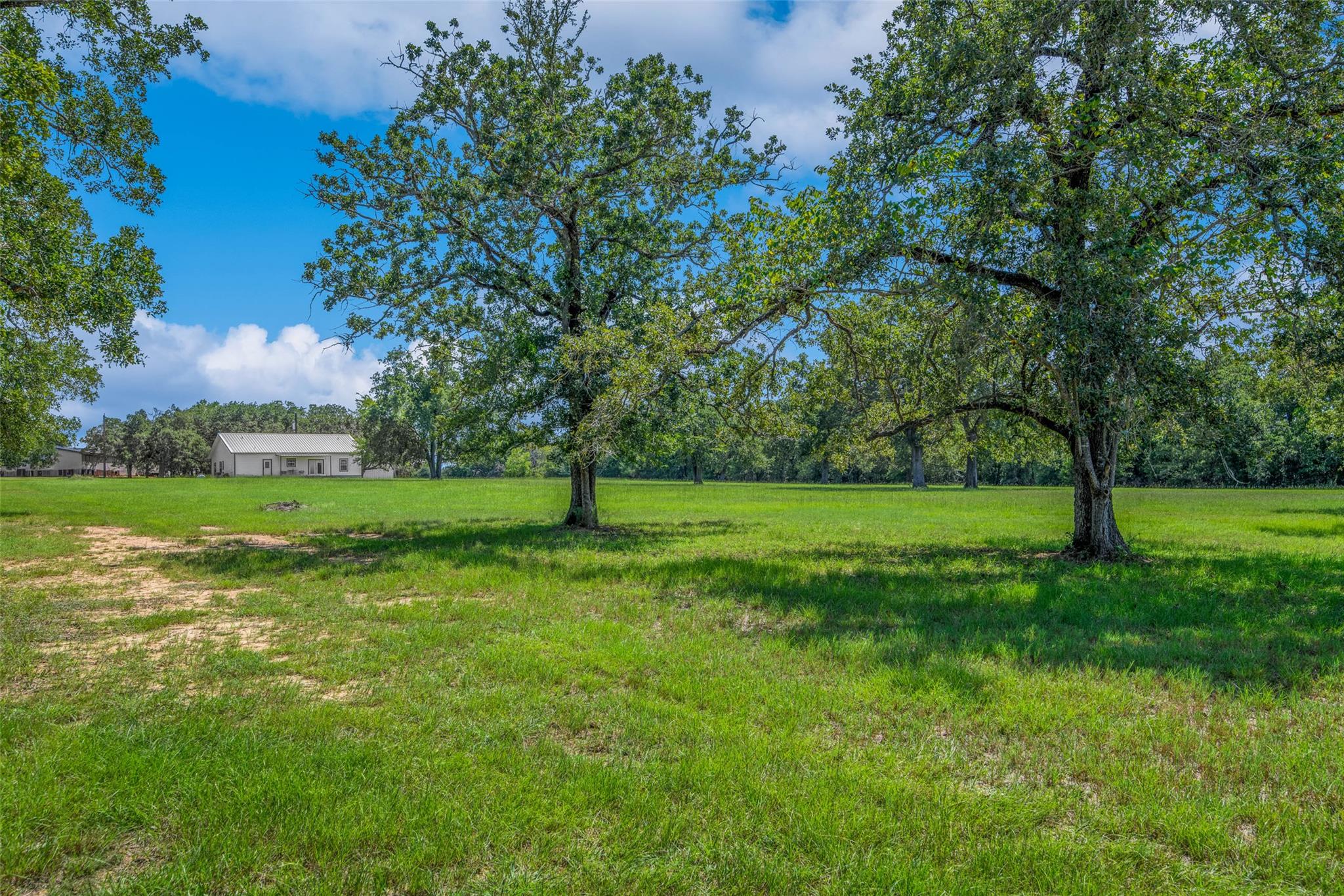 6899 E Hwy 79, Milano, TX 76556