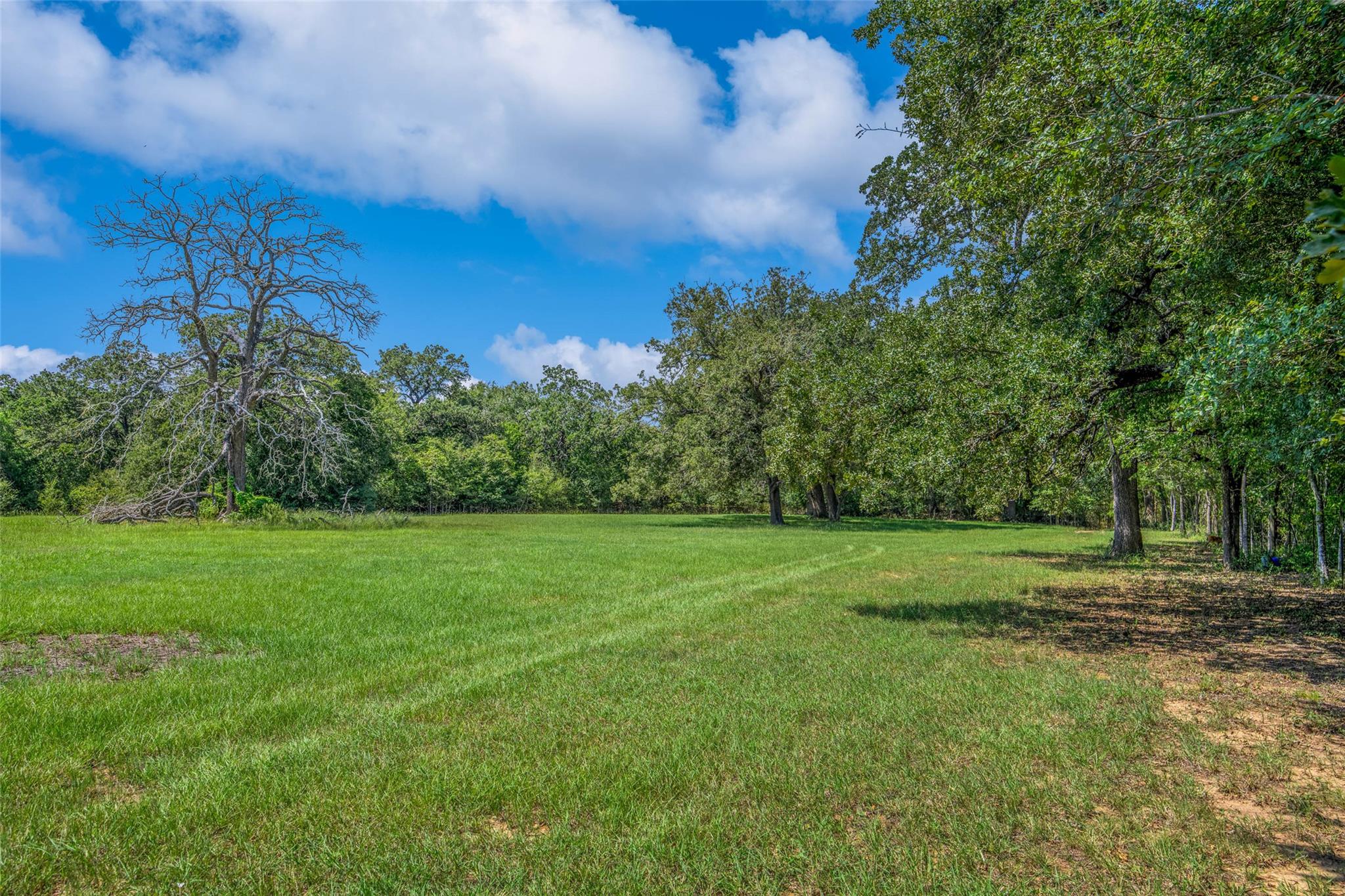 6899 E Hwy 79, Milano, TX 76556