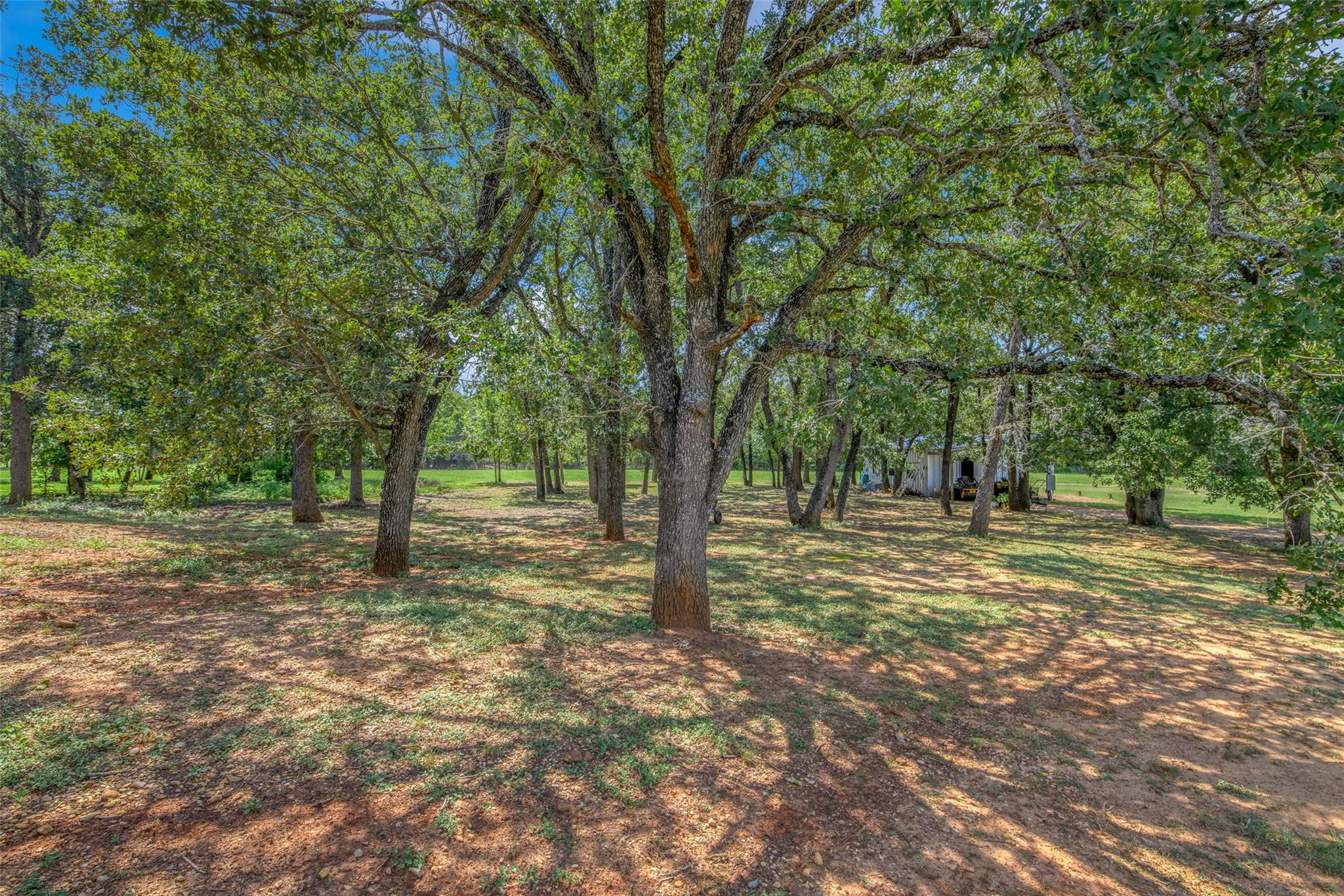 6899 E Hwy 79, Milano, TX 76556