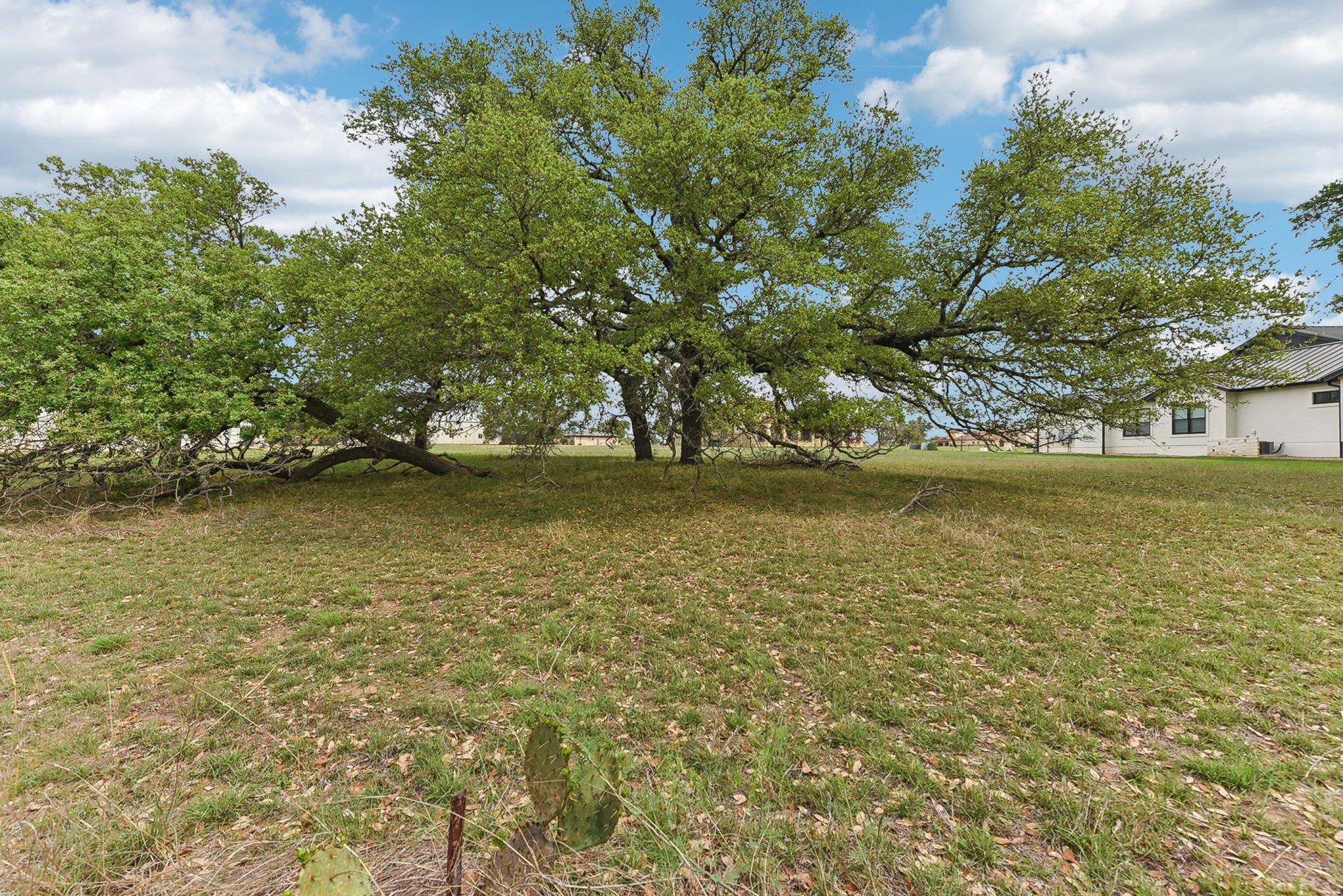 205 Mitchell Creek Dr, Horseshoe Bay, TX 78657