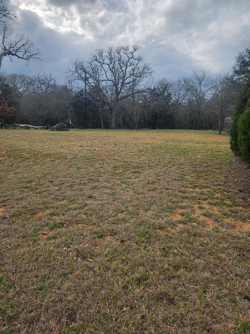 117 Allison Cv, Elgin, TX 78621