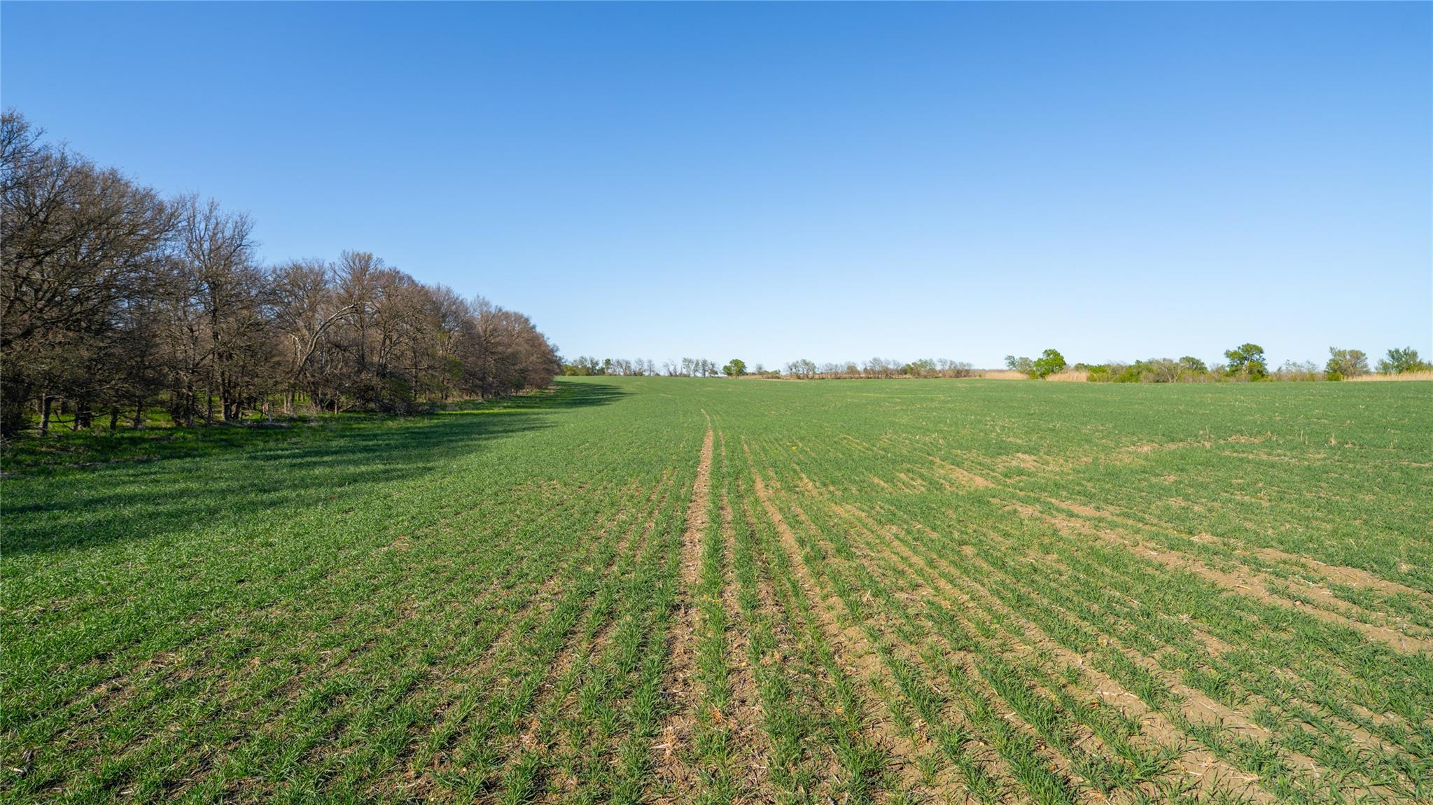 2396-E County Road 112, Buckholts, TX 76518