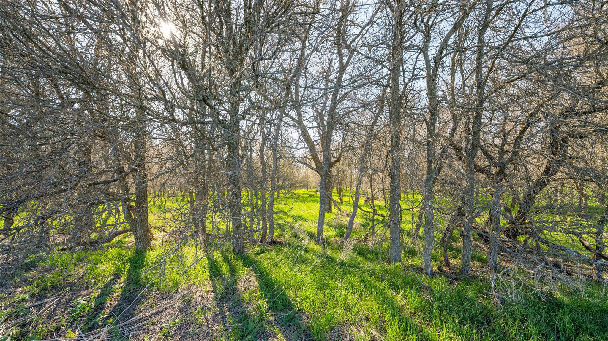 2396-E County Road 112, Buckholts, TX 76518